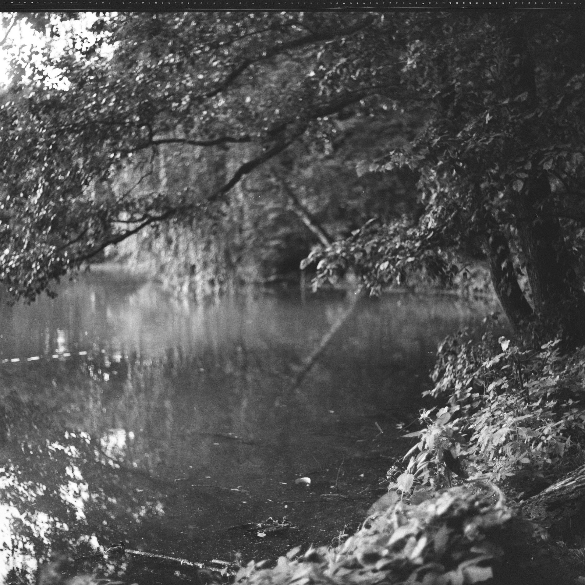 #SAVEBYKOVO — проект возрождения усадьбы Быково