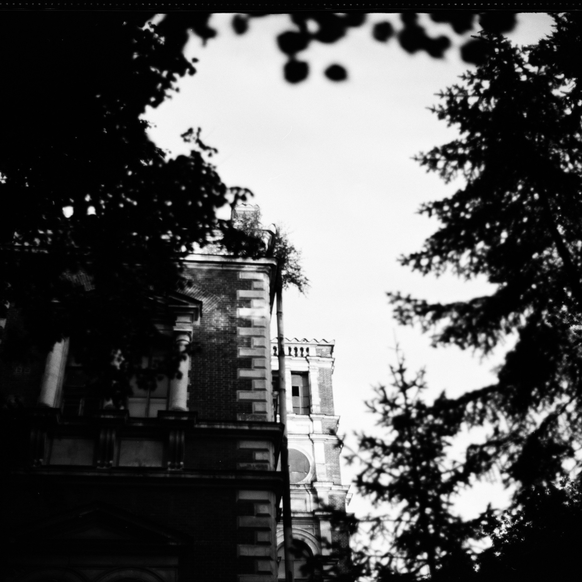 #SAVEBYKOVO — проект возрождения усадьбы Быково