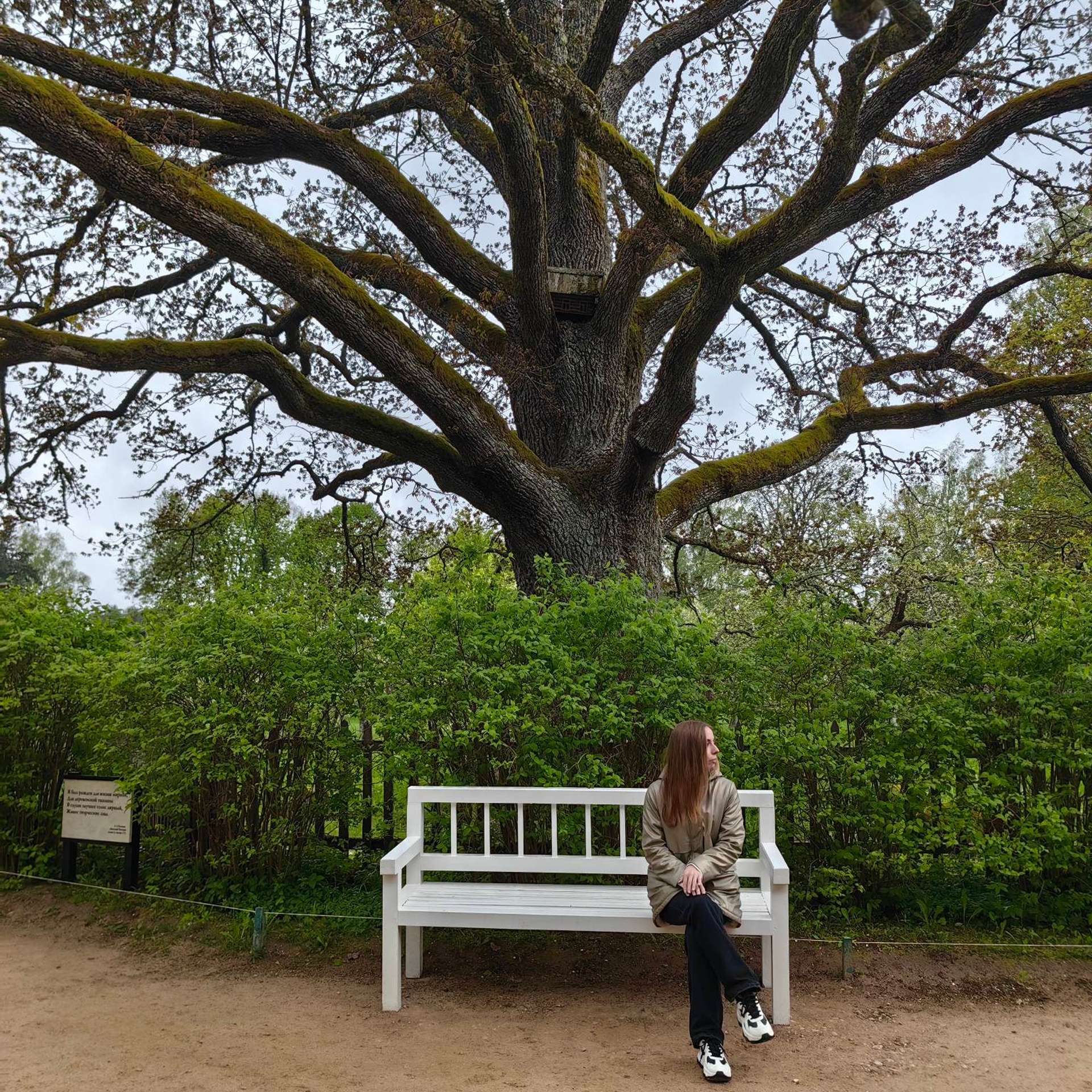 история усадьбы Михайловское Пушкин, Михайловское усадьба фото, Пушкин в Михайловском творчество, усадьба Михайловское история, картина Михайловское Пушкин, ссылка Пушкина в Михайловском