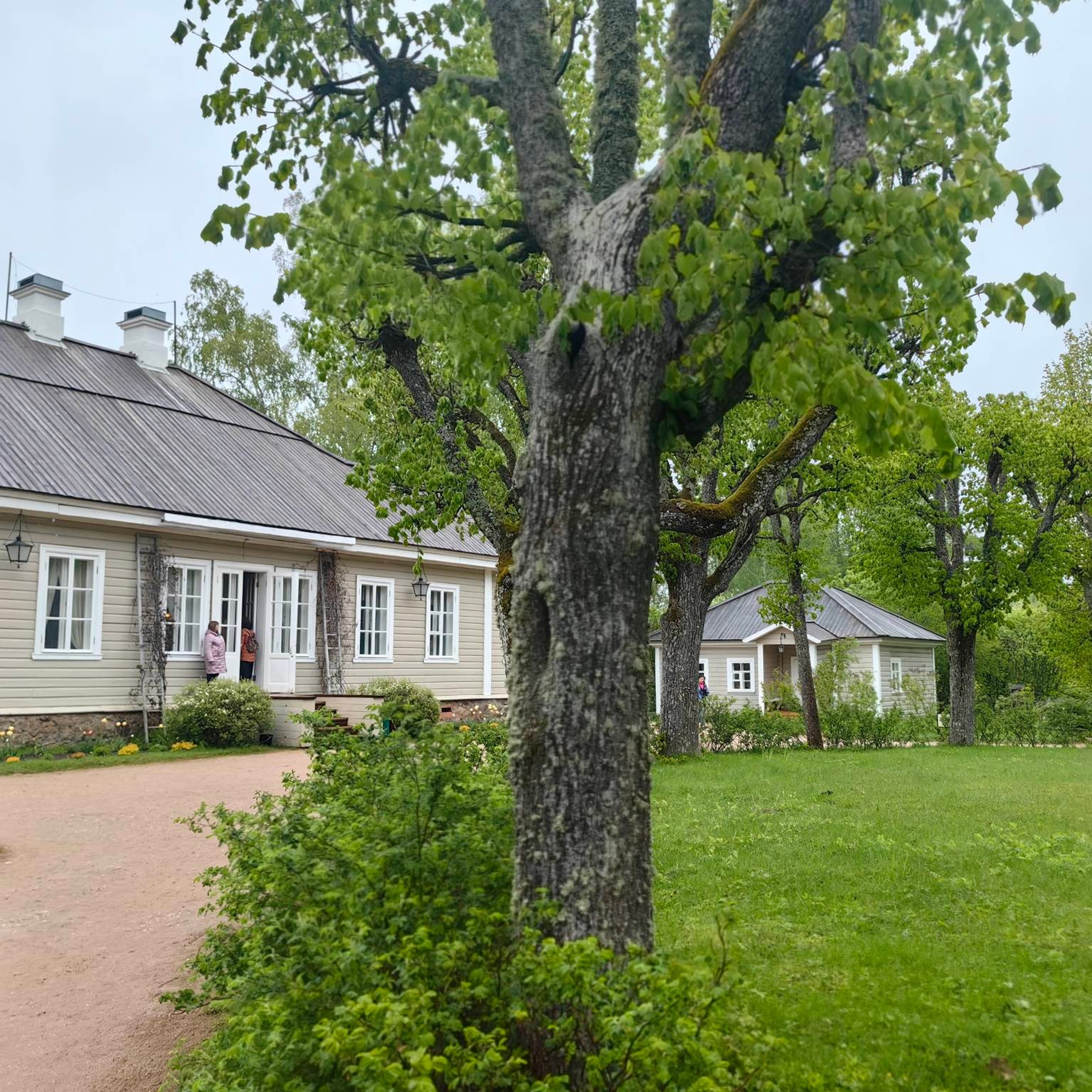 история усадьбы Михайловское Пушкин, Михайловское усадьба фото, Пушкин в Михайловском творчество, усадьба Михайловское история, картина Михайловское Пушкин, ссылка Пушкина в Михайловском