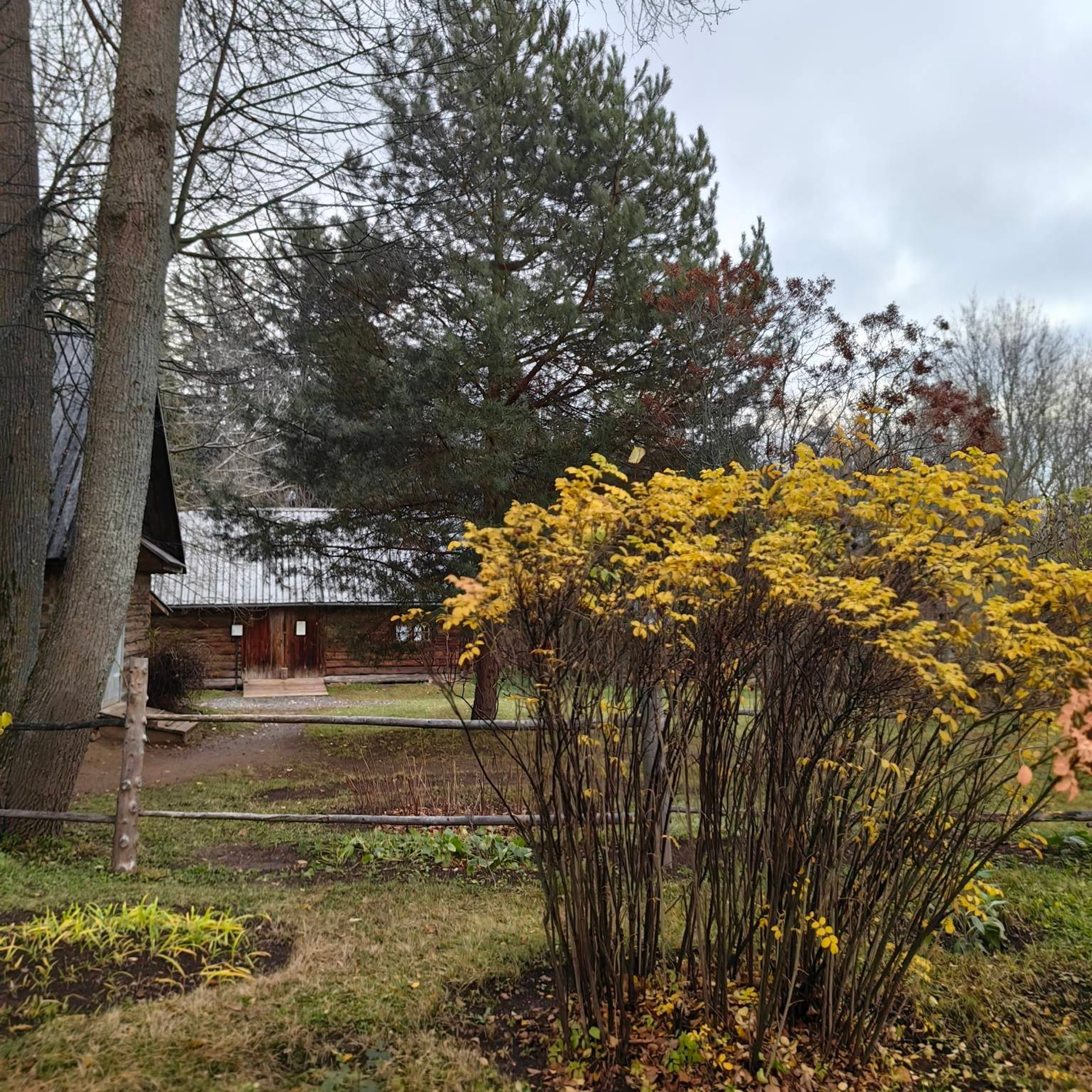 Усадьба А.А.Блока Шахматово