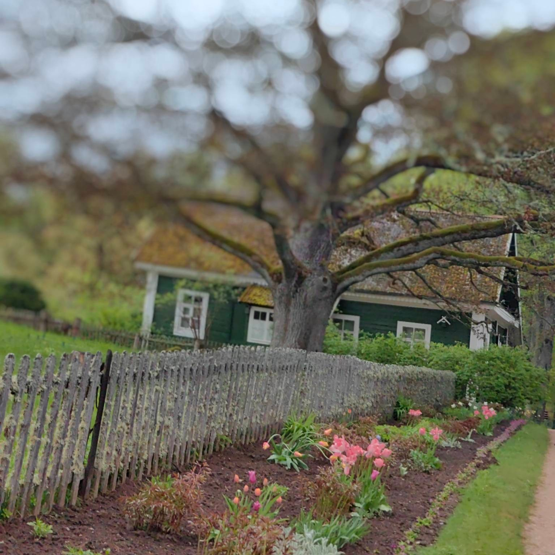 история усадьбы Михайловское Пушкин, Михайловское усадьба фото, Пушкин в Михайловском творчество, усадьба Михайловское история, картина Михайловское Пушкин, ссылка Пушкина в Михайловском