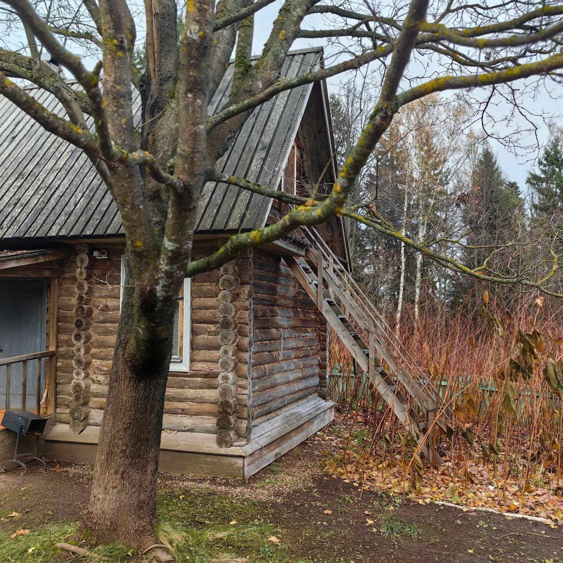 Усадьба Шахматово А.А. Блока, поездка в подмосковье, усадьбы подмосковья