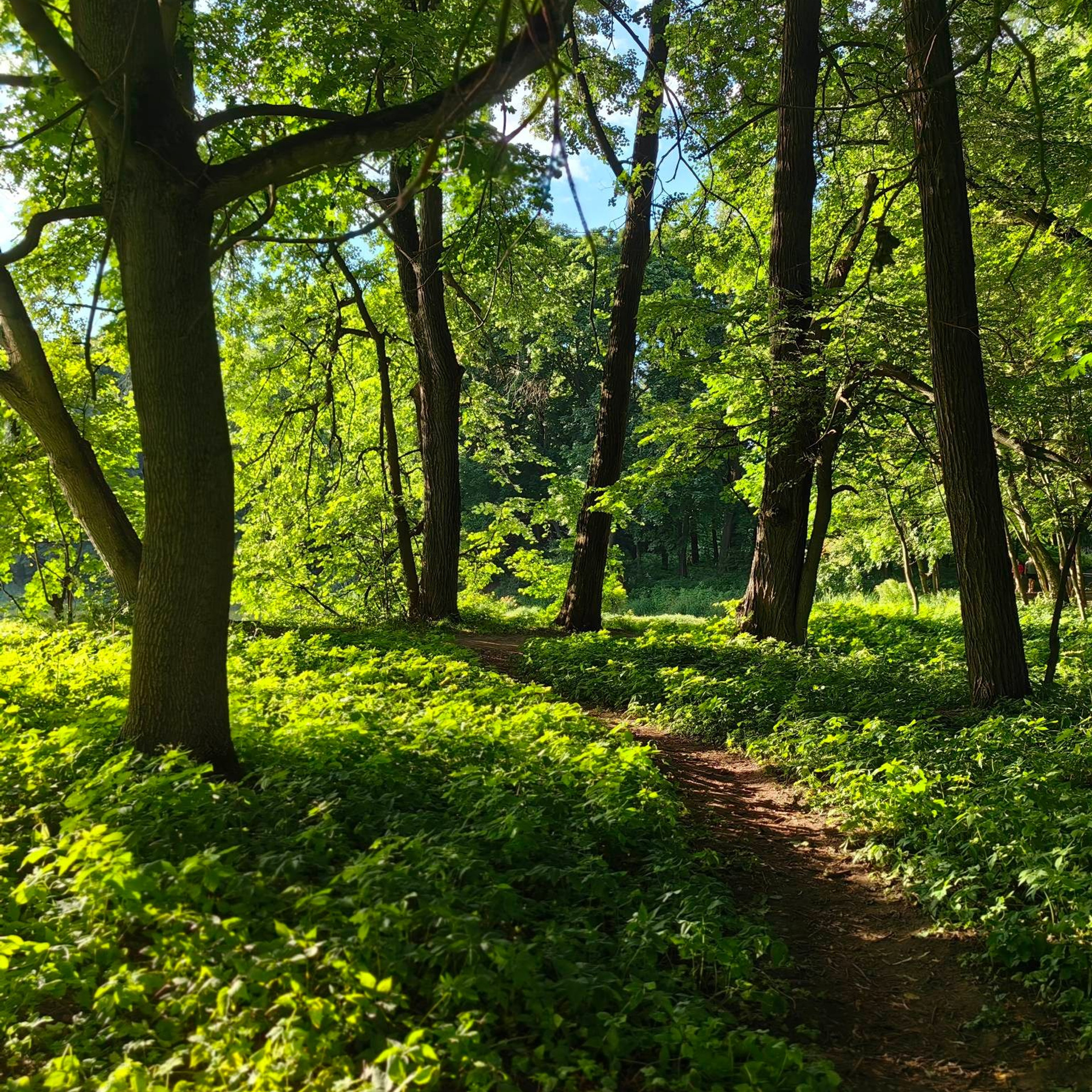 Усадьба Быково. Купить картину на холсте для интерьера|художник | дизайнер | архитектор Сергей Ратчин в Москве