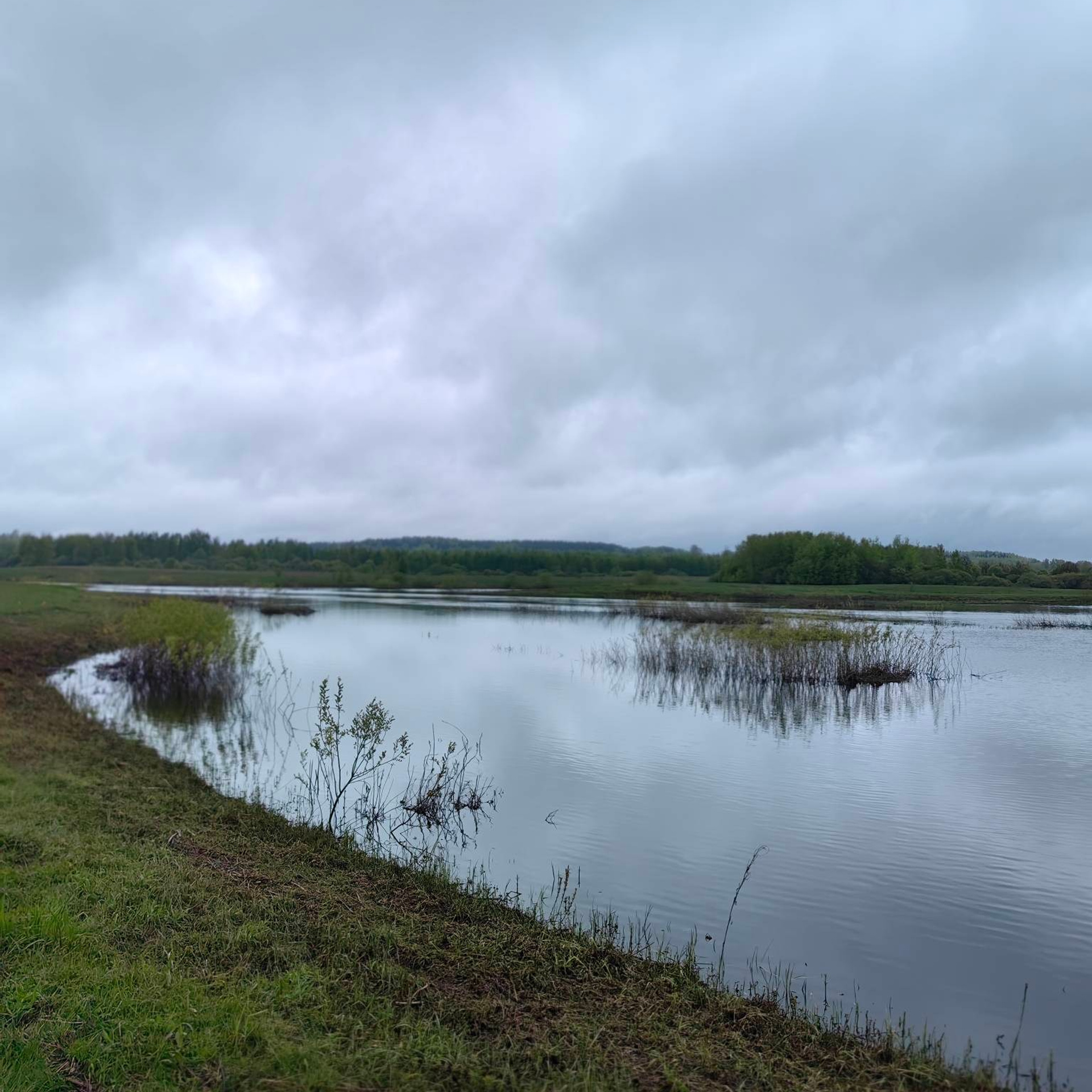 история усадьбы Михайловское Пушкин, Михайловское усадьба фото, Пушкин в Михайловском творчество, усадьба Михайловское история, картина Михайловское Пушкин, ссылка Пушкина в Михайловском