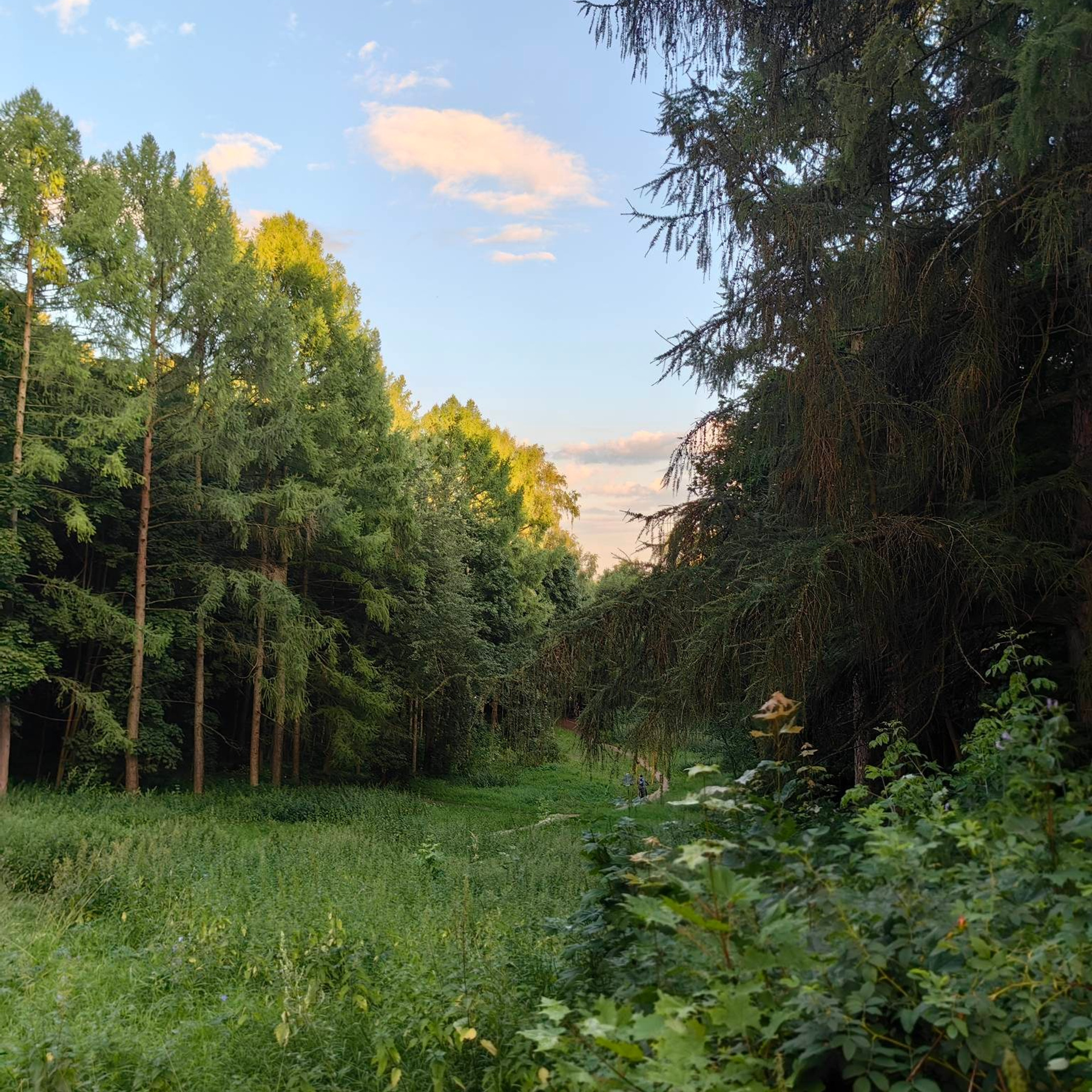 Пленэр в Быково с художником, этюды в усадьбе Быково