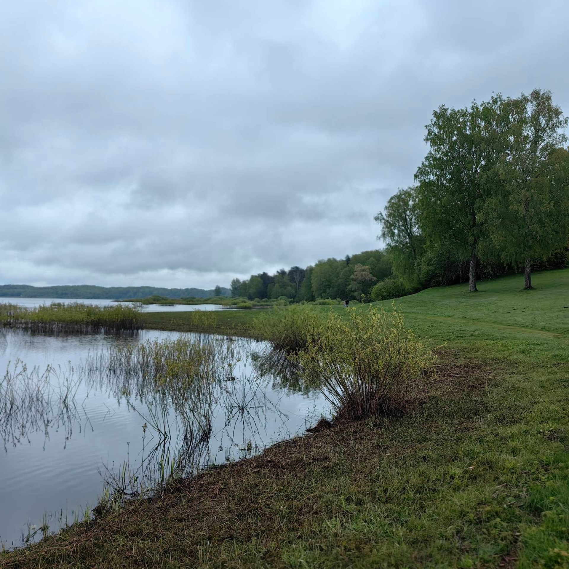 история усадьбы Михайловское Пушкин, Михайловское усадьба фото, Пушкин в Михайловском творчество, усадьба Михайловское история, картина Михайловское Пушкин, ссылка Пушкина в Михайловском