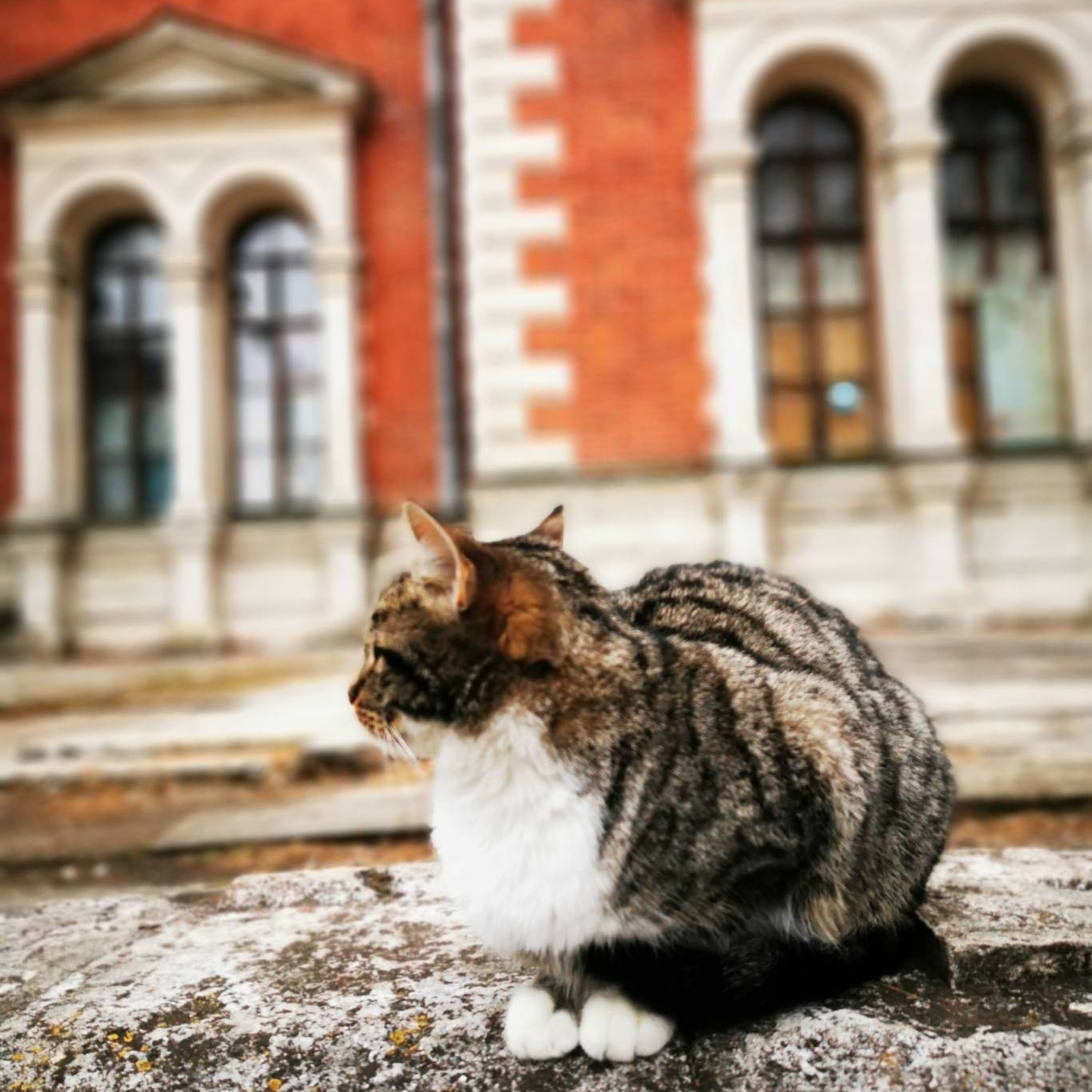 усадьба Быково осенью, записки художника