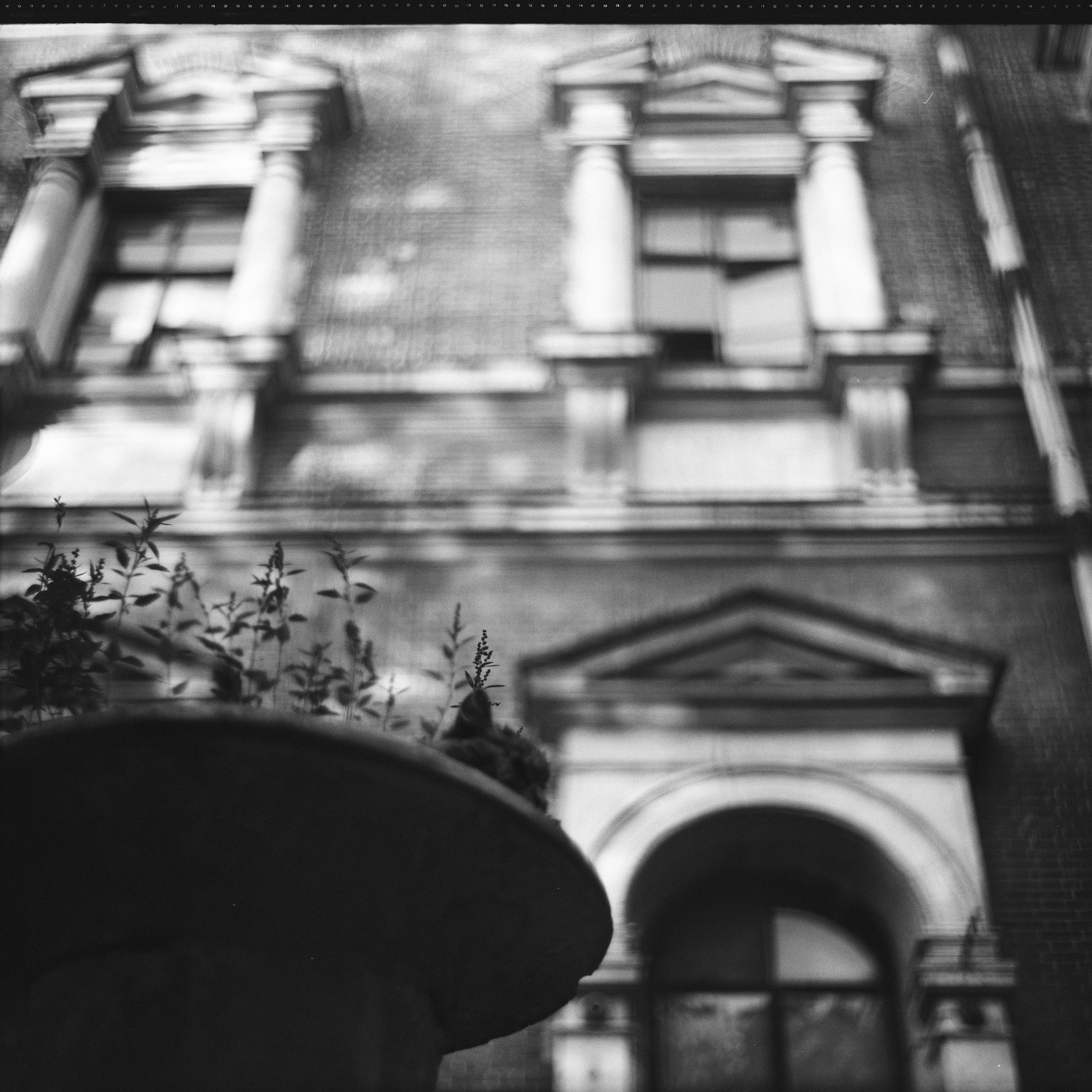 #SAVEBYKOVO — проект возрождения усадьбы Быково