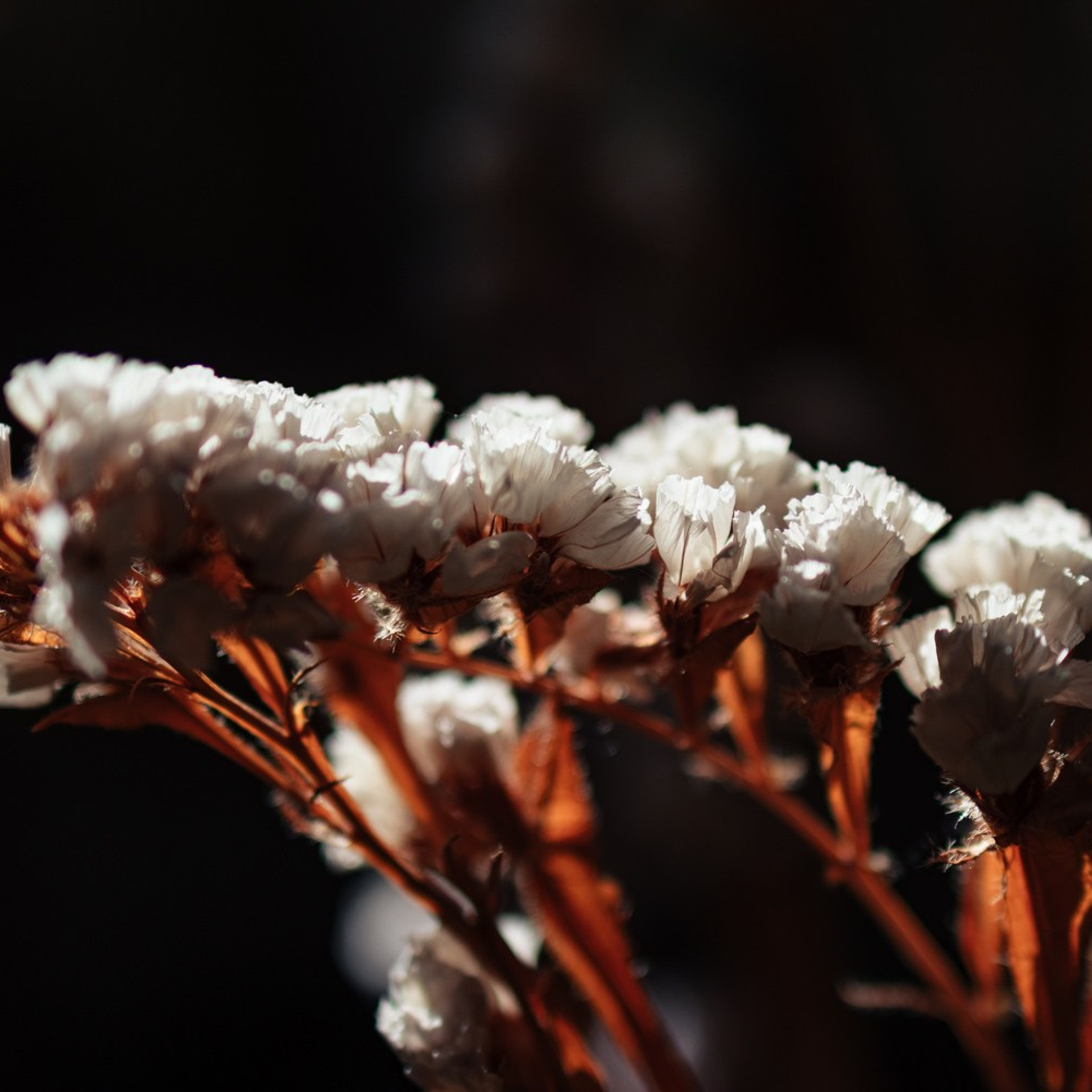 Репортажный фотограф Кирилл Бартенев