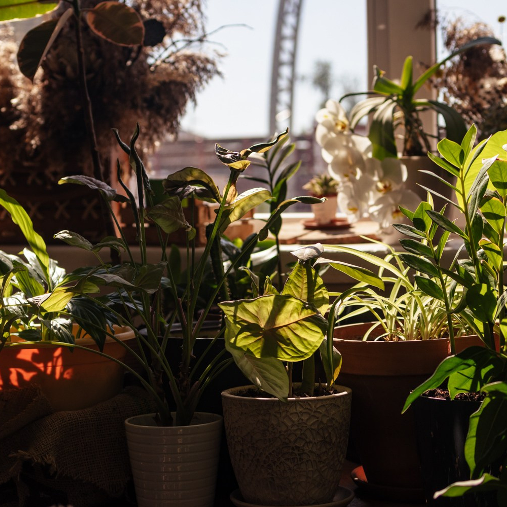 Репортажный фотограф Кирилл Бартенев