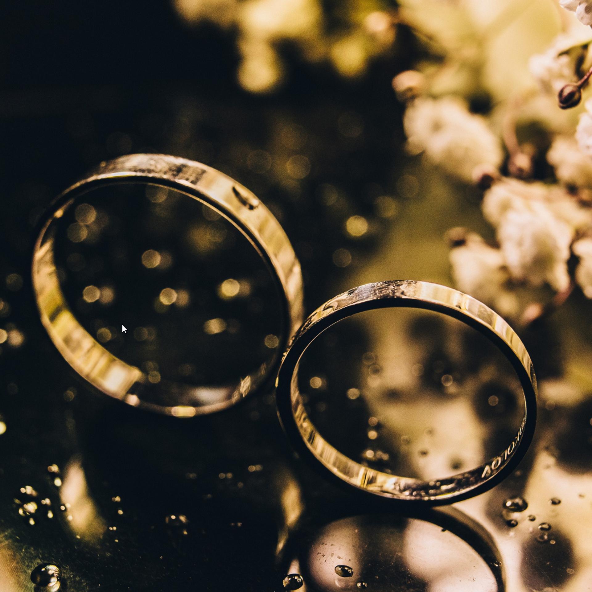 Фотограф Таганрог и Ростов-на-Дону