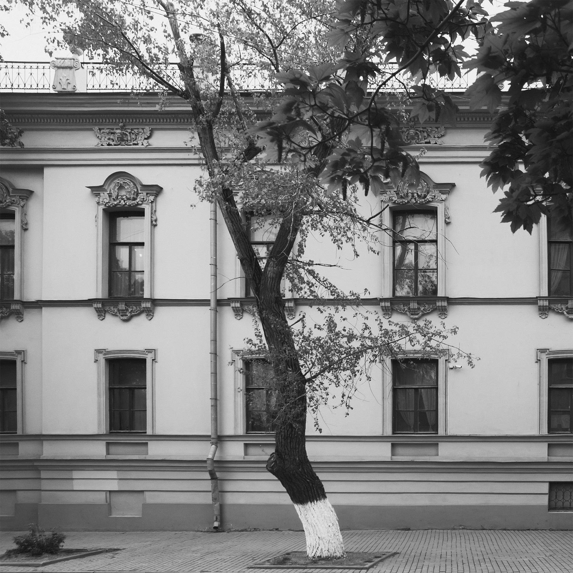 Фото центра Таганрога — Красивые фотографии домов и улиц исторического центра. Свадебный и семейный фотограф в Таганроге Бакарюк Антон