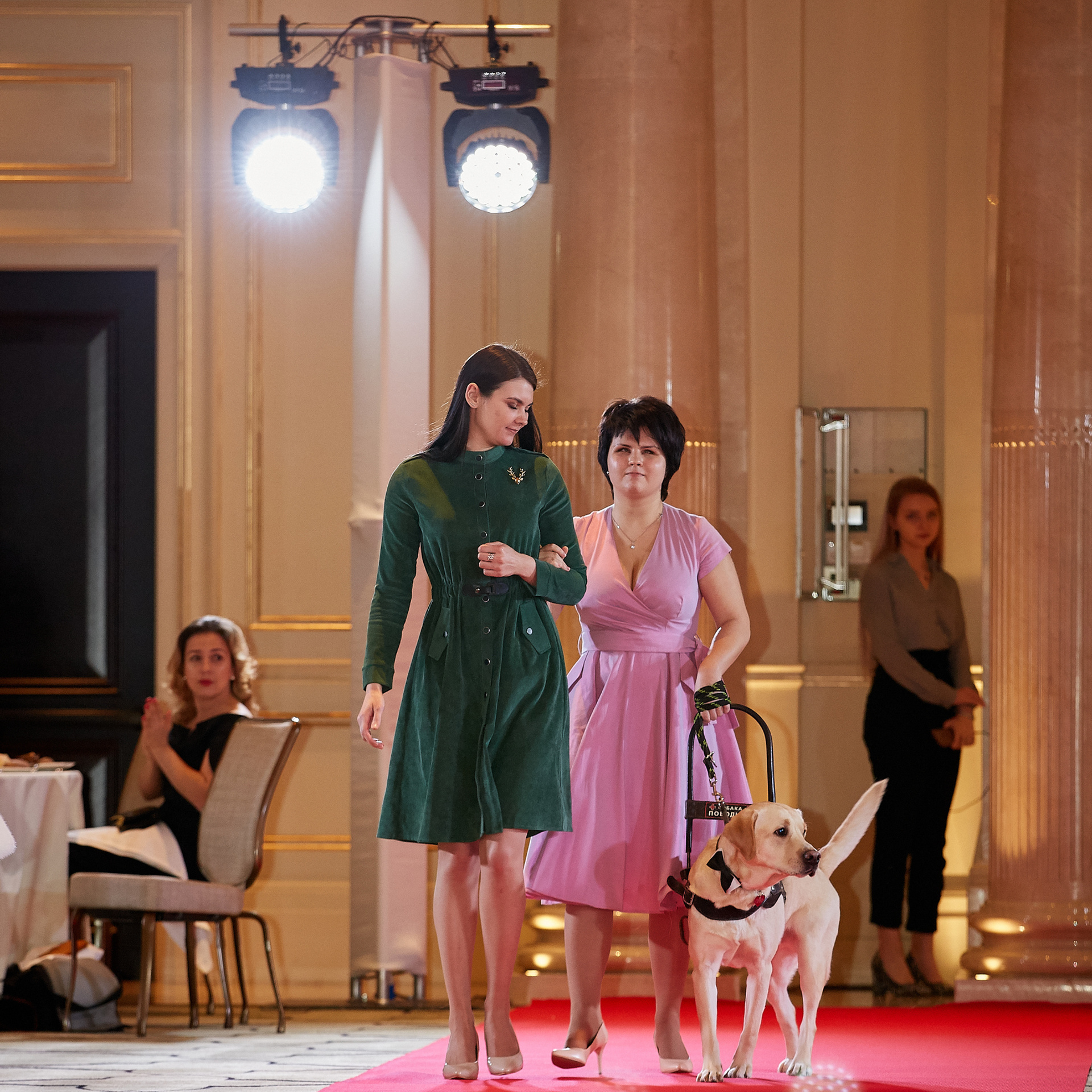 НАГРАЖДЕНИЕ ПОБЕДИТЕЛЕЙ РЕЙТИНГА «BEST RUSSIAN DOG». ФОТОГРАФ-АНИМАЛИСТ l LANA POLYAKOVA