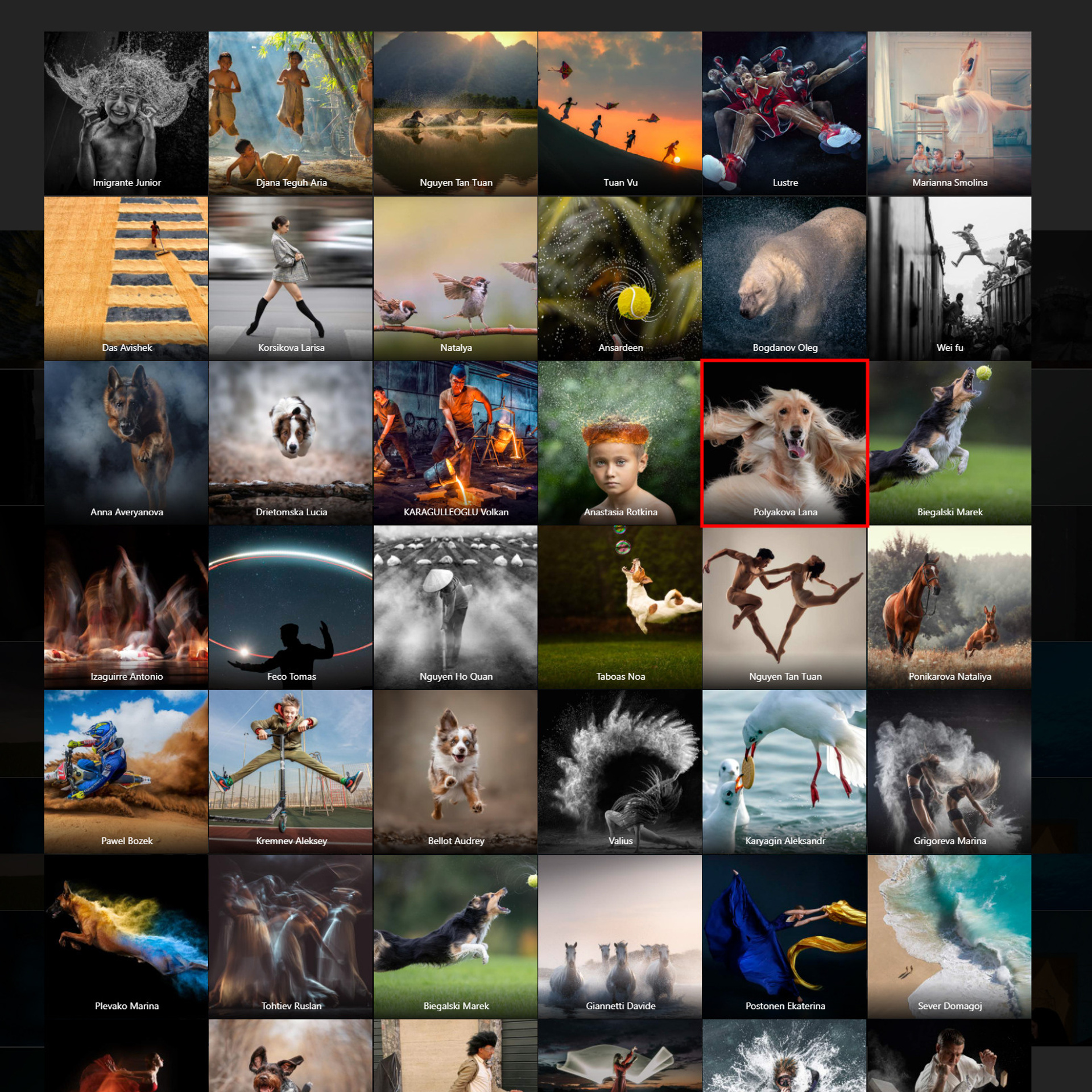 6TH 35AWARDS. Оглашение результатов. ФОТОГРАФ-АНИМАЛИСТ l LANA POLYAKOVA