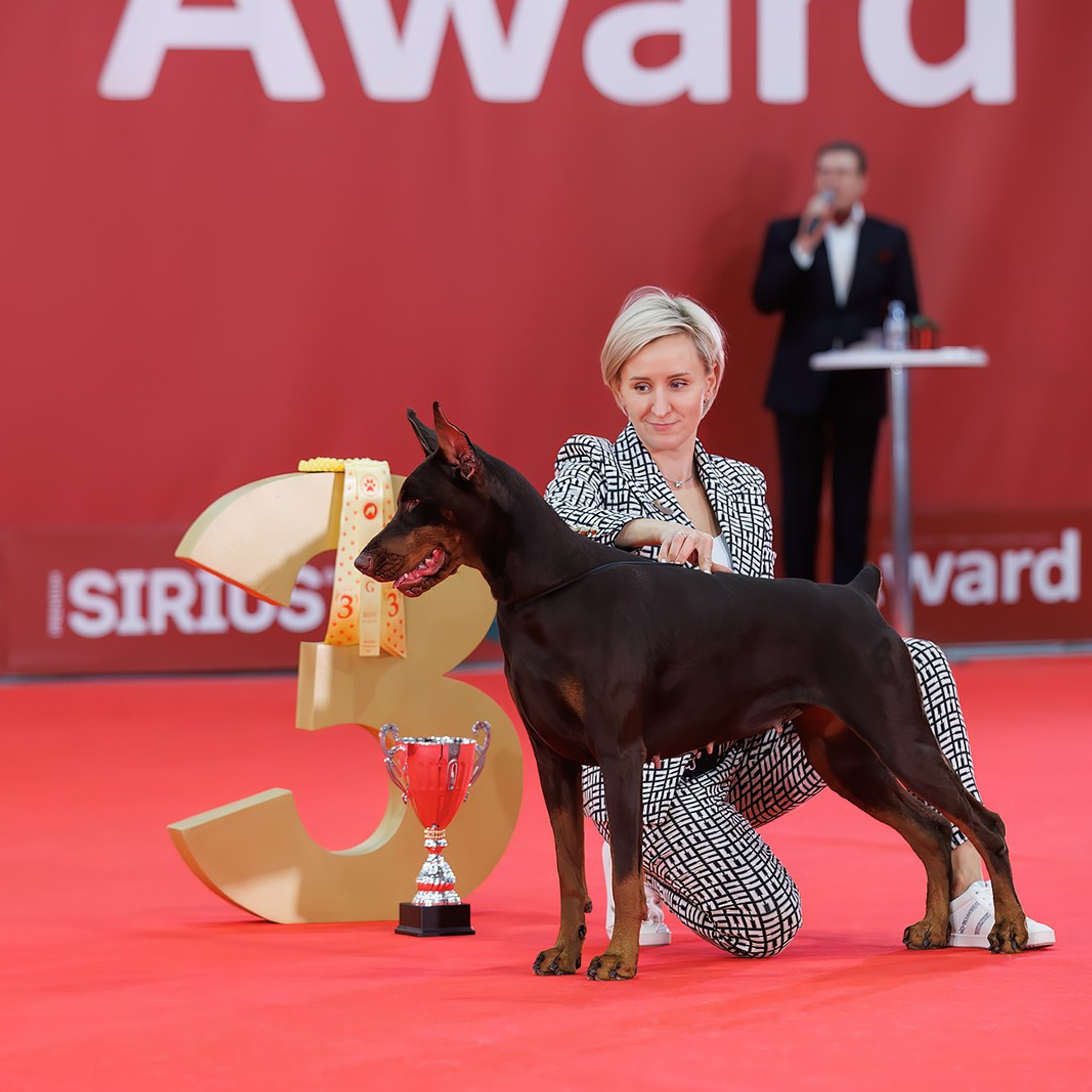 Новое шоу чемпионов «ЛУЧШИЕ СОБАКИ РОССИИ». ФОТОГРАФ-АНИМАЛИСТ l LANA POLYAKOVA