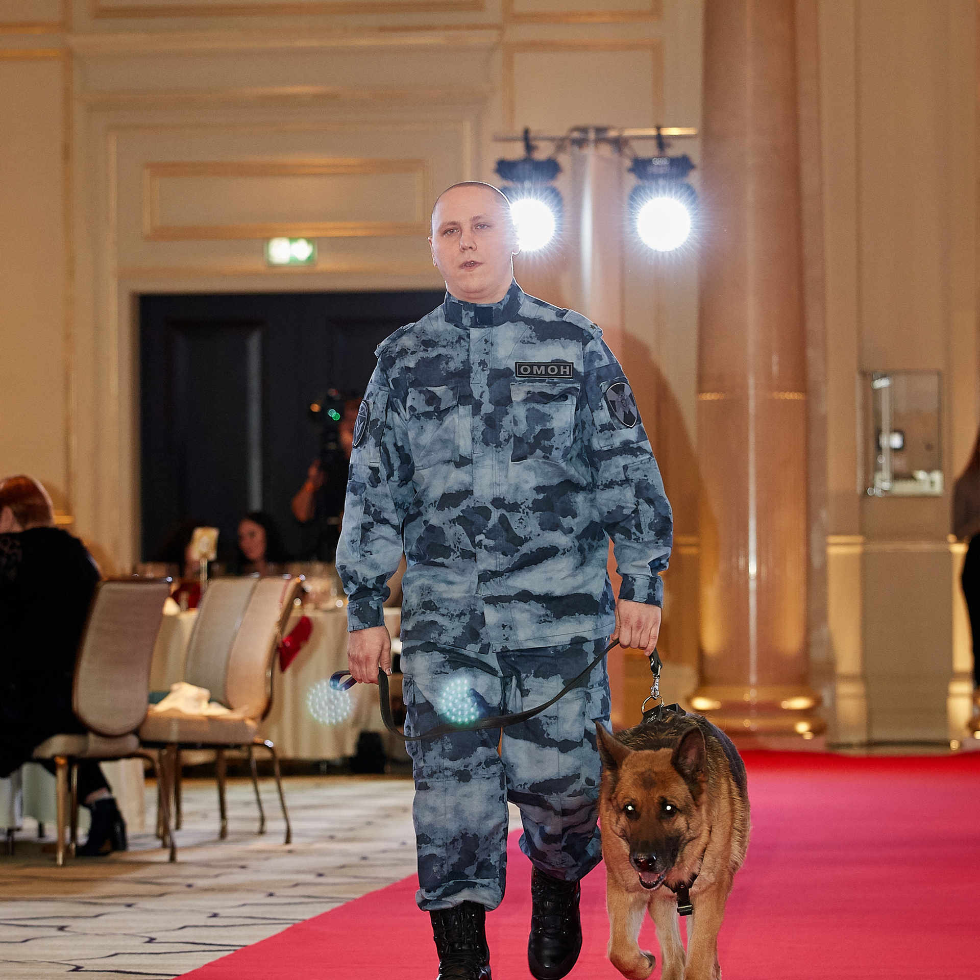 НАГРАЖДЕНИЕ ПОБЕДИТЕЛЕЙ РЕЙТИНГА «BEST RUSSIAN DOG». ФОТОГРАФ-АНИМАЛИСТ l LANA POLYAKOVA