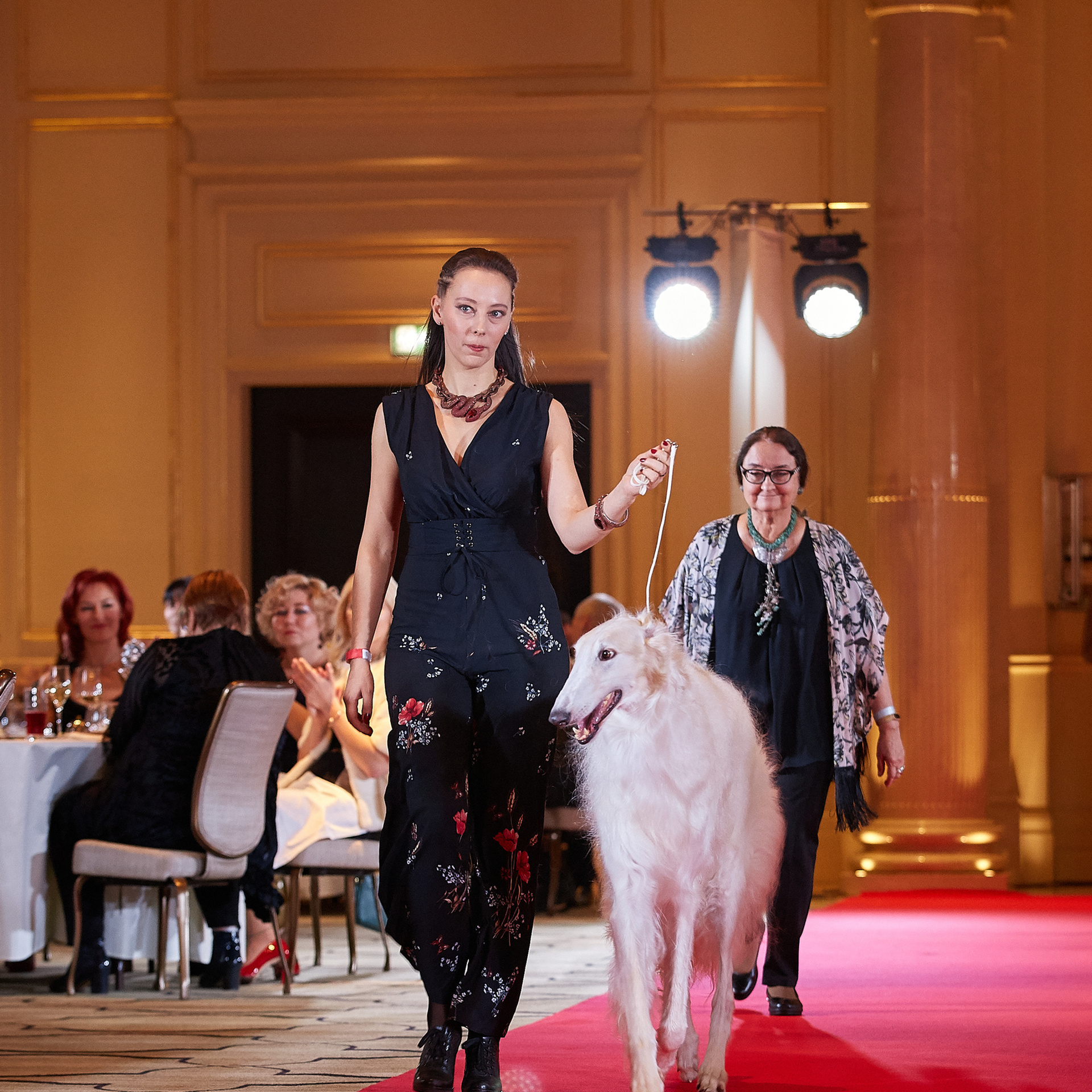 НАГРАЖДЕНИЕ ПОБЕДИТЕЛЕЙ РЕЙТИНГА «BEST RUSSIAN DOG». ФОТОГРАФ-АНИМАЛИСТ l LANA POLYAKOVA