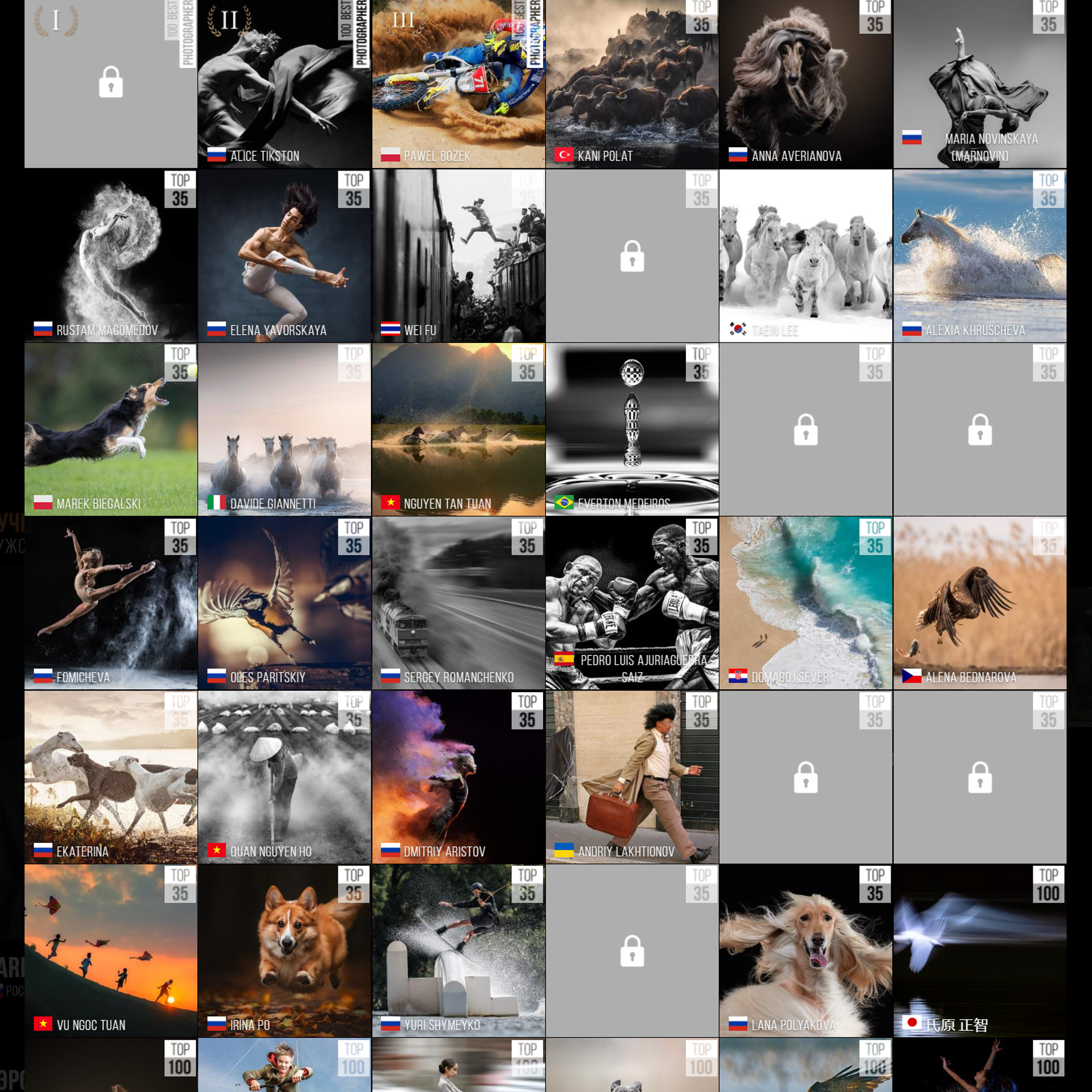 6TH 35AWARDS. Оглашение результатов. ФОТОГРАФ-АНИМАЛИСТ l LANA POLYAKOVA