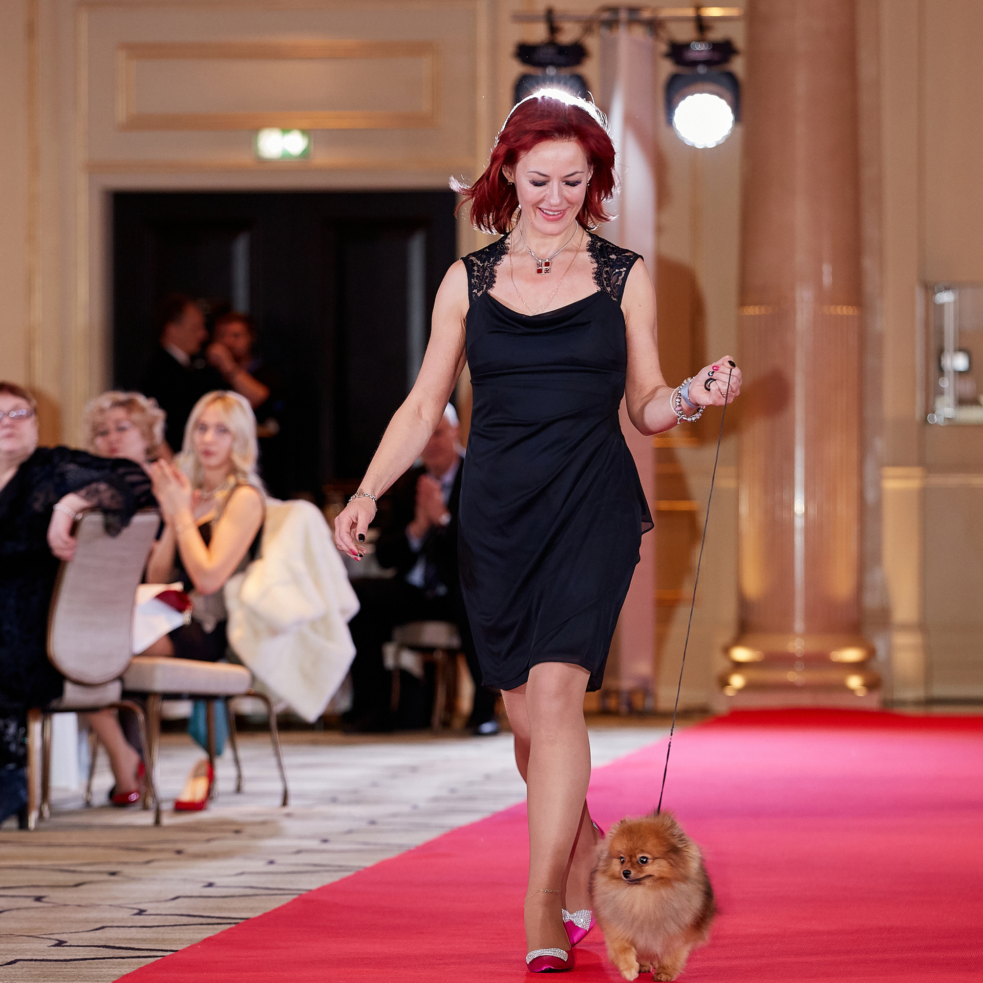 НАГРАЖДЕНИЕ ПОБЕДИТЕЛЕЙ РЕЙТИНГА «BEST RUSSIAN DOG». ФОТОГРАФ-АНИМАЛИСТ l LANA POLYAKOVA