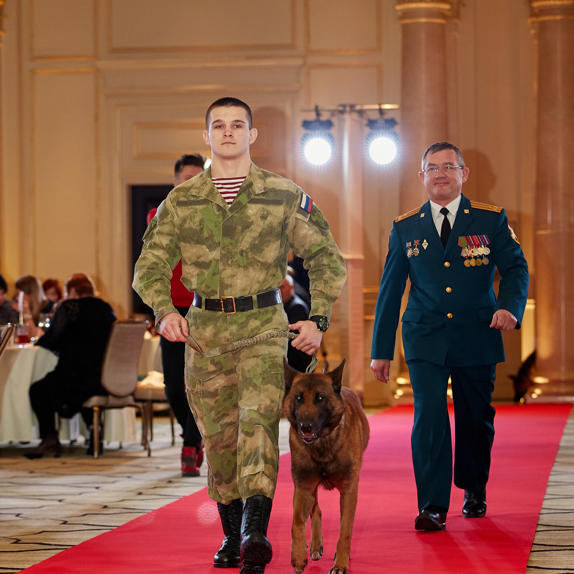 НАГРАЖДЕНИЕ ПОБЕДИТЕЛЕЙ РЕЙТИНГА «BEST RUSSIAN DOG». ФОТОГРАФ-АНИМАЛИСТ l LANA POLYAKOVA
