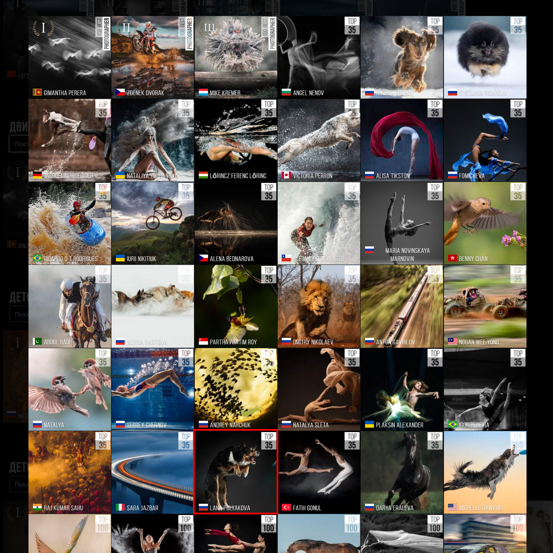 7TH 35AWARDS. Оглашение результатов. ФОТОГРАФ-АНИМАЛИСТ l LANA POLYAKOVA