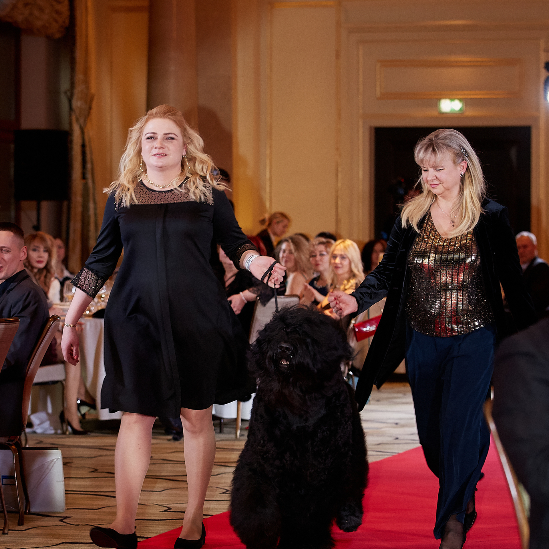 НАГРАЖДЕНИЕ ПОБЕДИТЕЛЕЙ РЕЙТИНГА «BEST RUSSIAN DOG». ФОТОГРАФ-АНИМАЛИСТ l LANA POLYAKOVA