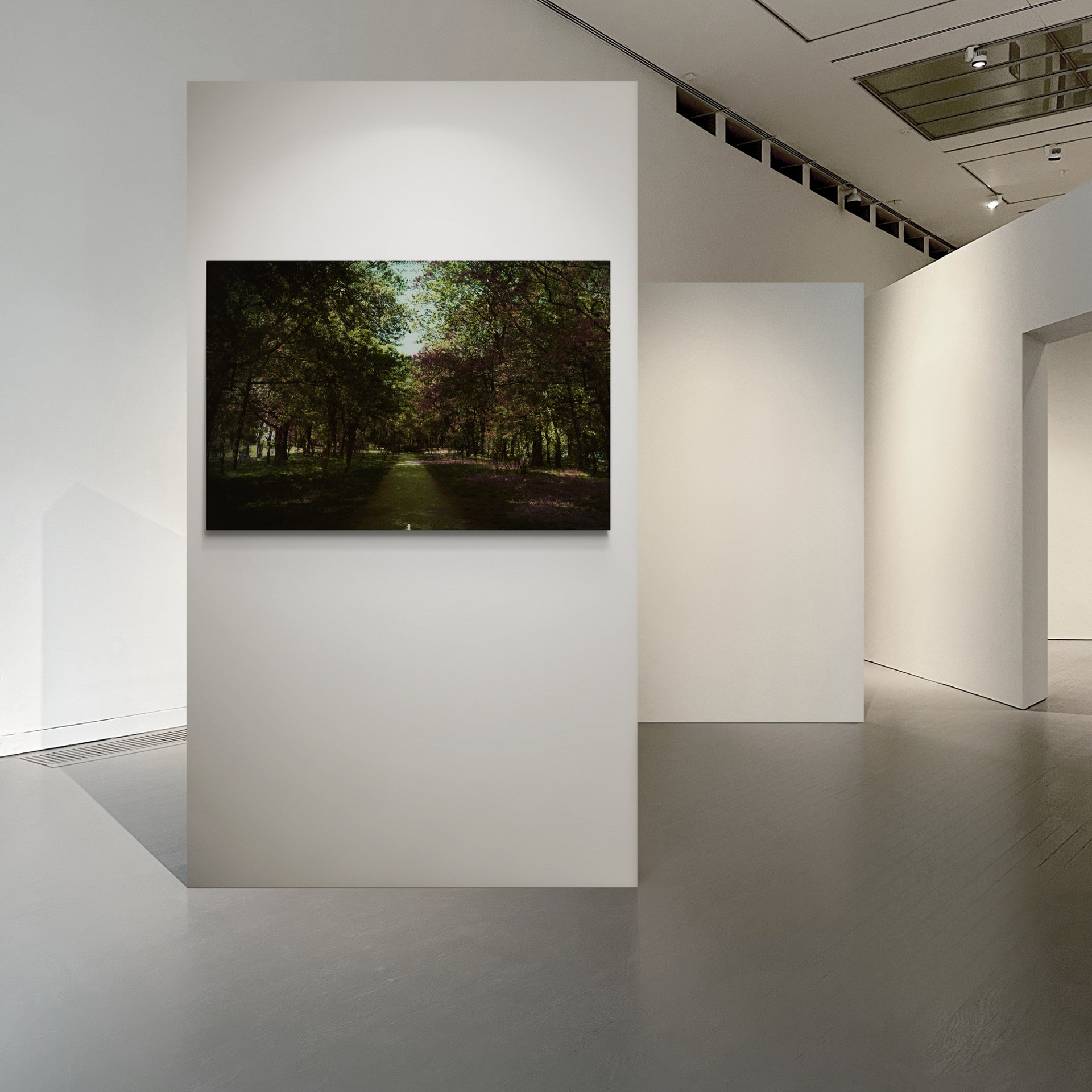 Картины в интерьере (Teleshop) / Paintings in the interior. Роман Ходырев — эзотериолог, художник, фотограф и музыкант. Санкт-Петербург, Рига