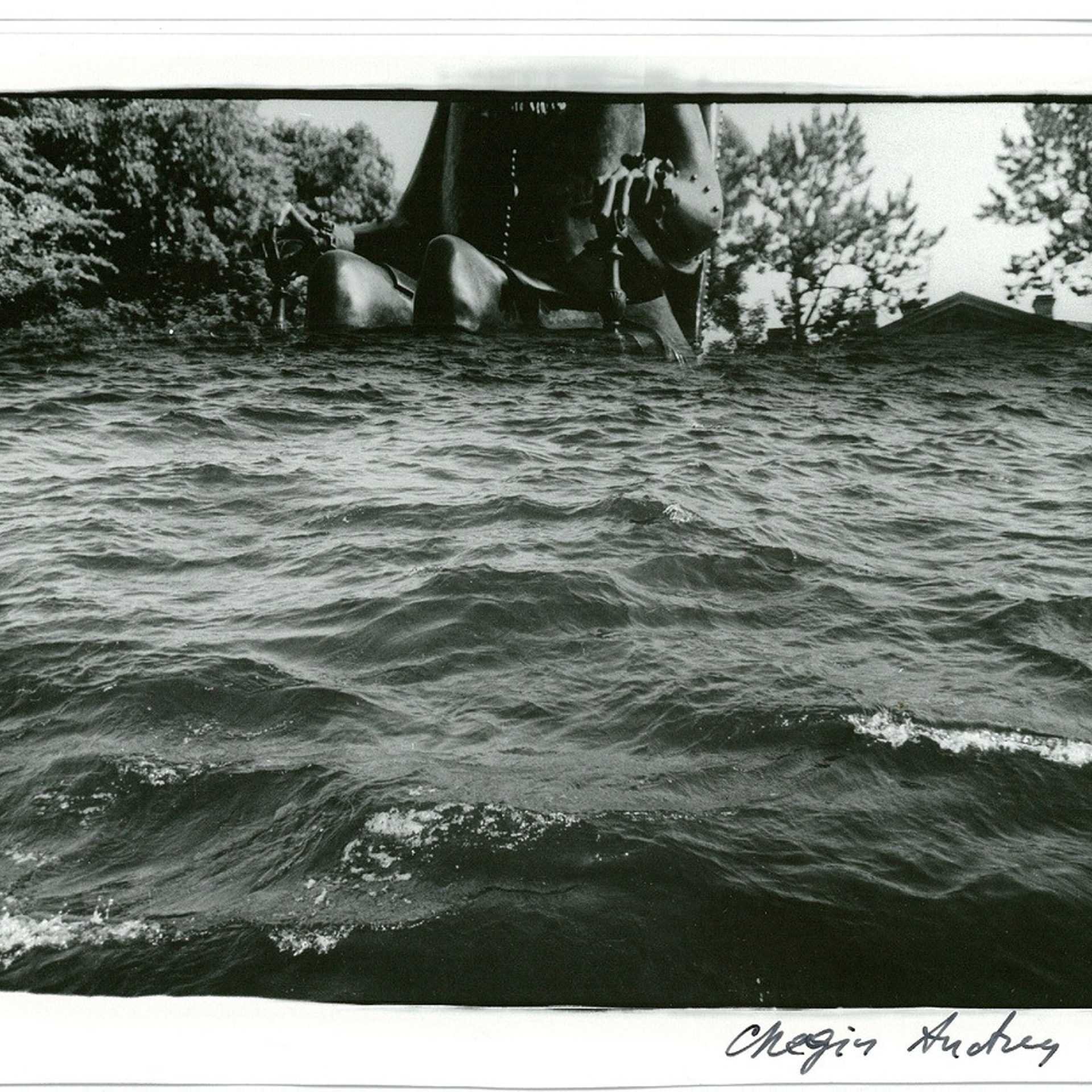 Андрей Чежин Невская купель. 2022 - Люминография - luminografia.ru