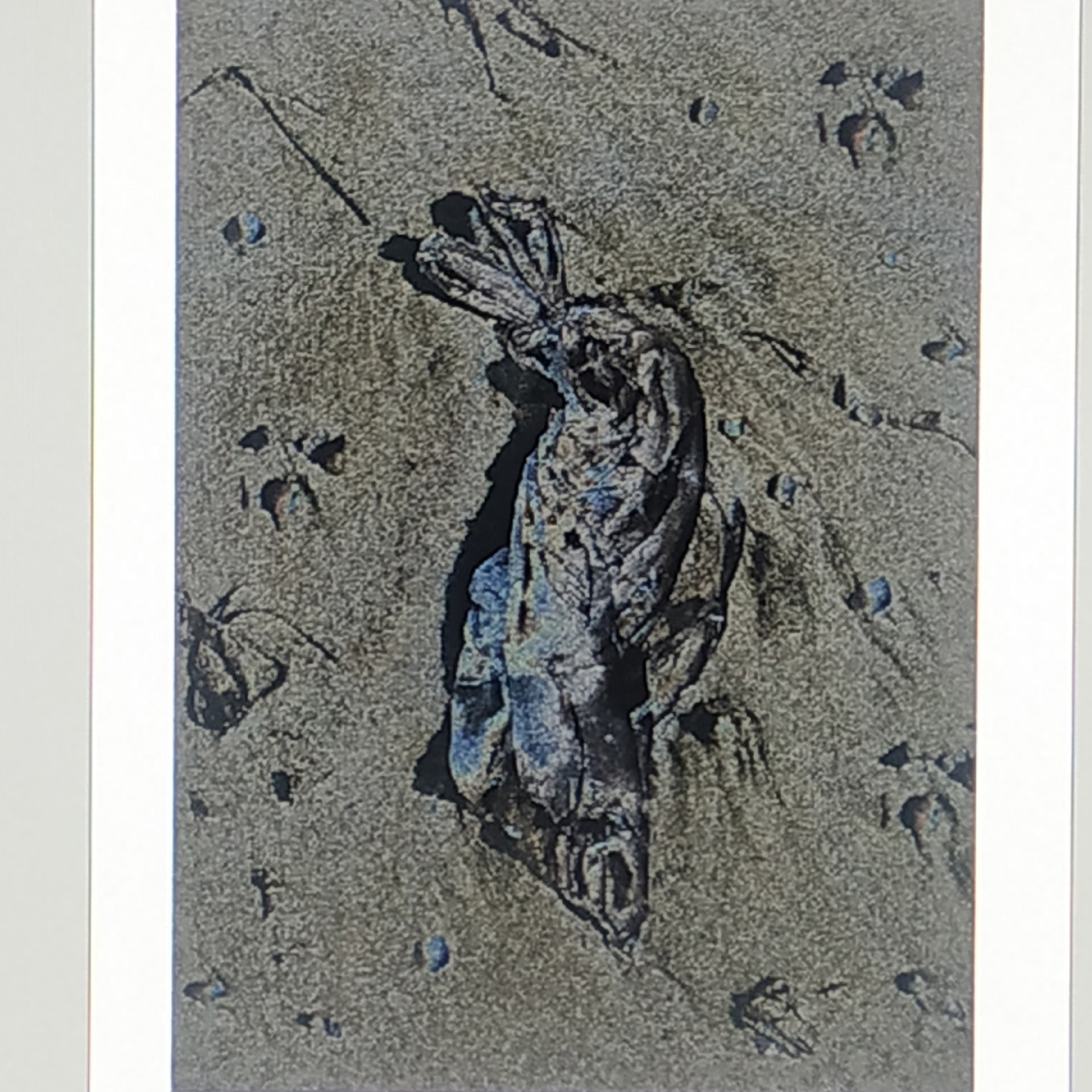 ЦИФРОВАЯ ПАЛИТРА