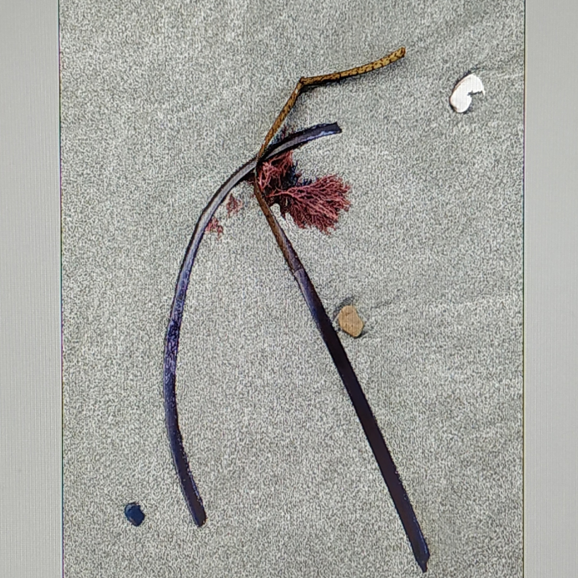 ЦИФРОВАЯ ПАЛИТРА