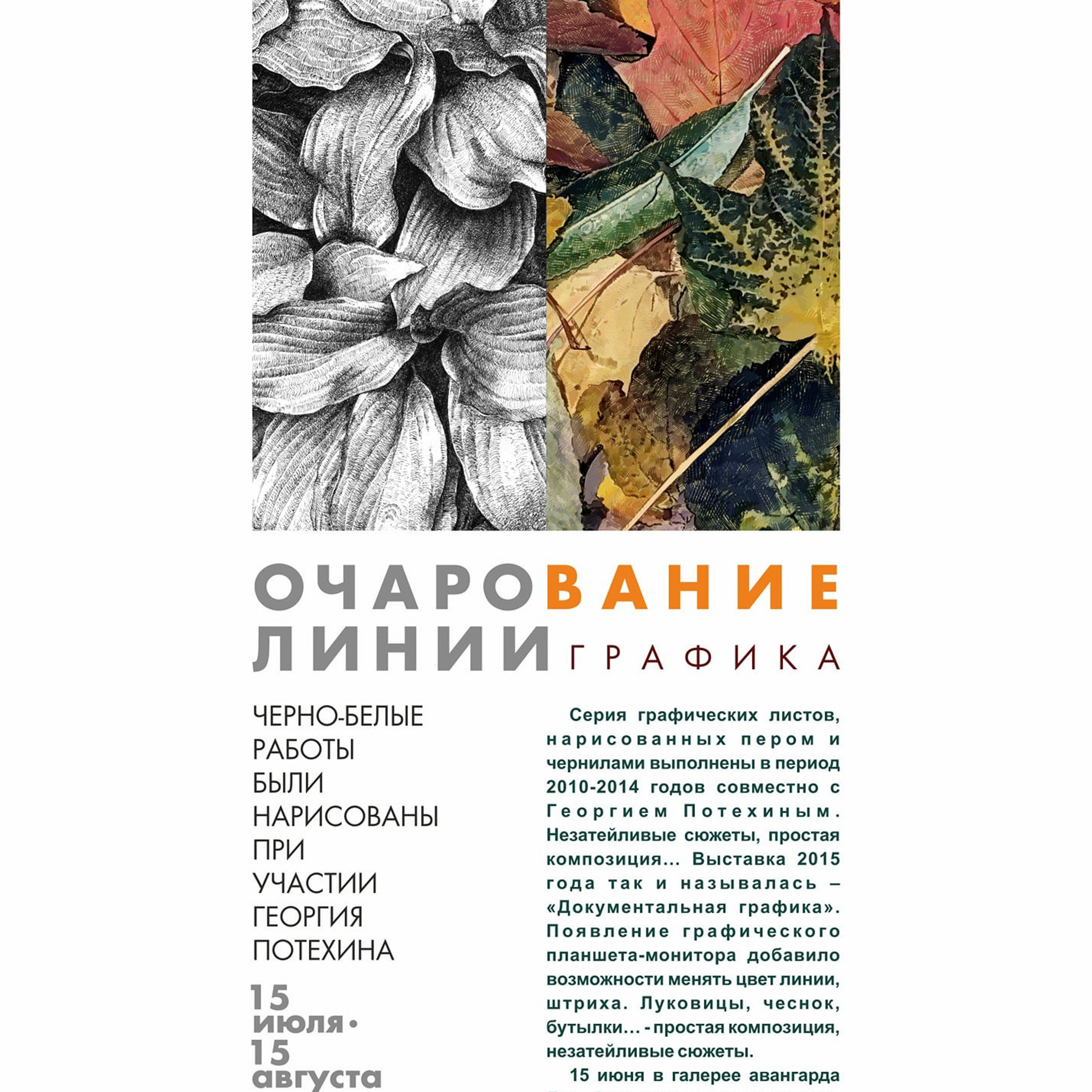 Очарование линии - Люминография - luminografia.ru