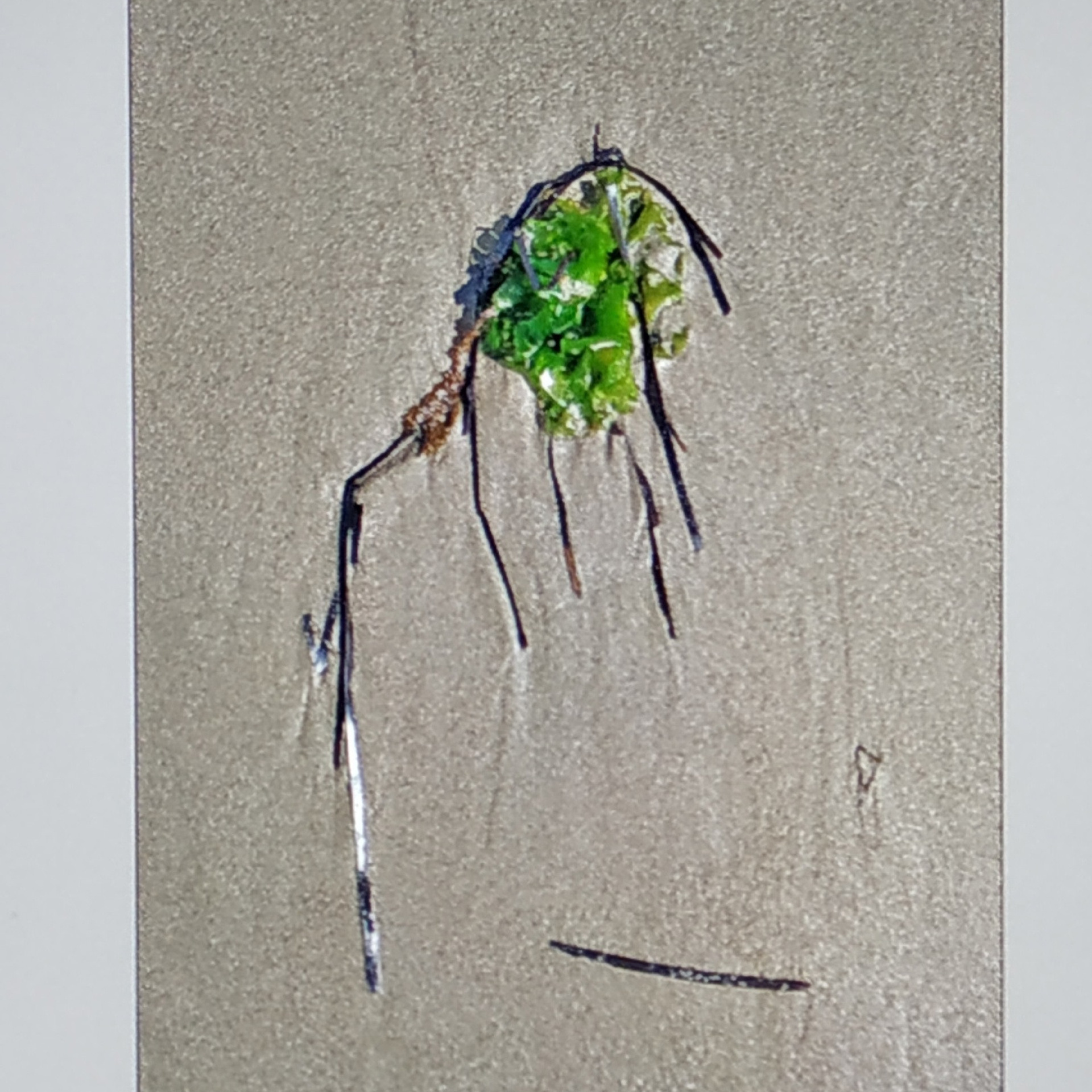 ЦИФРОВАЯ ПАЛИТРА