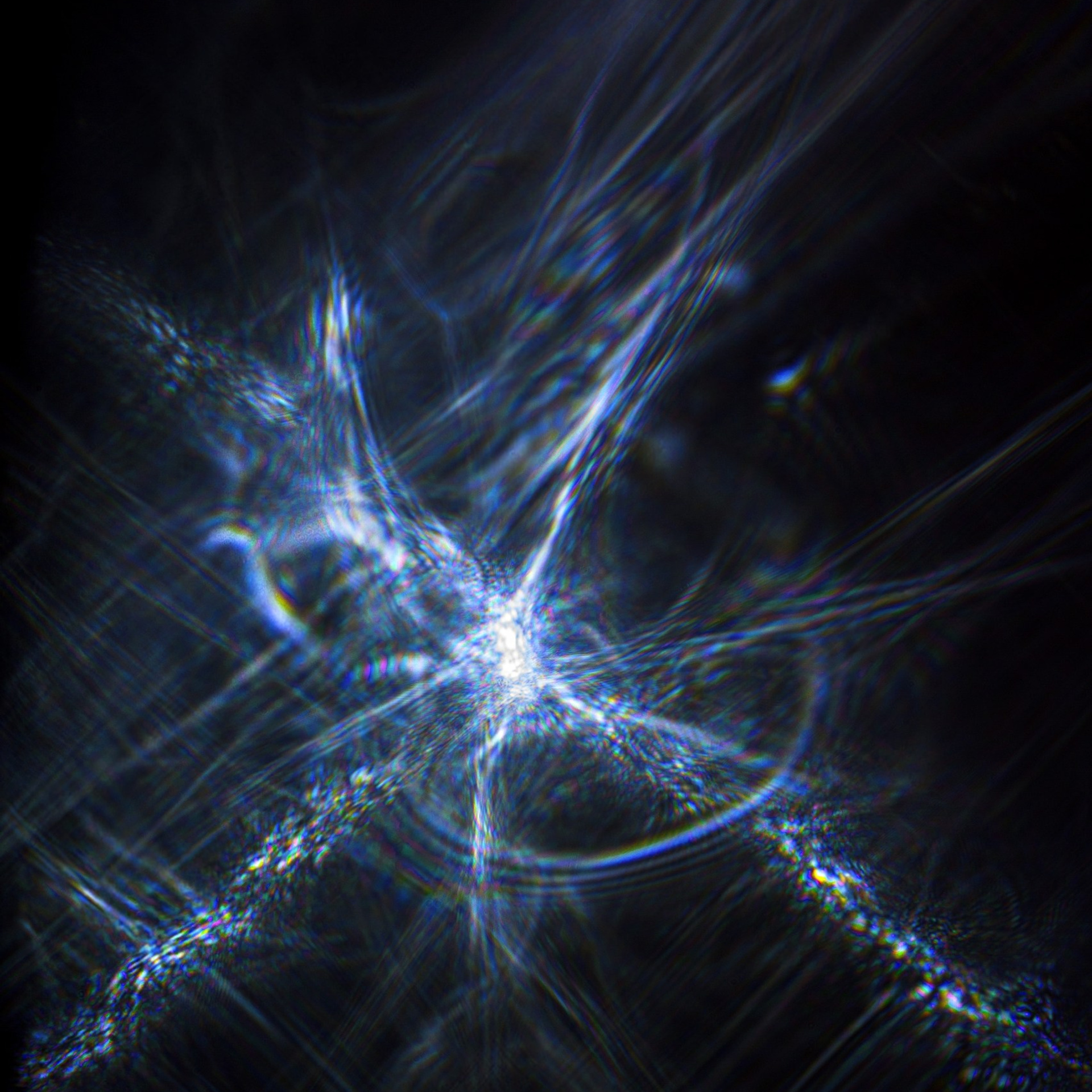 Надежда Зайцева, Люминографическое общество, люминограф, lightpainting, luminografia,