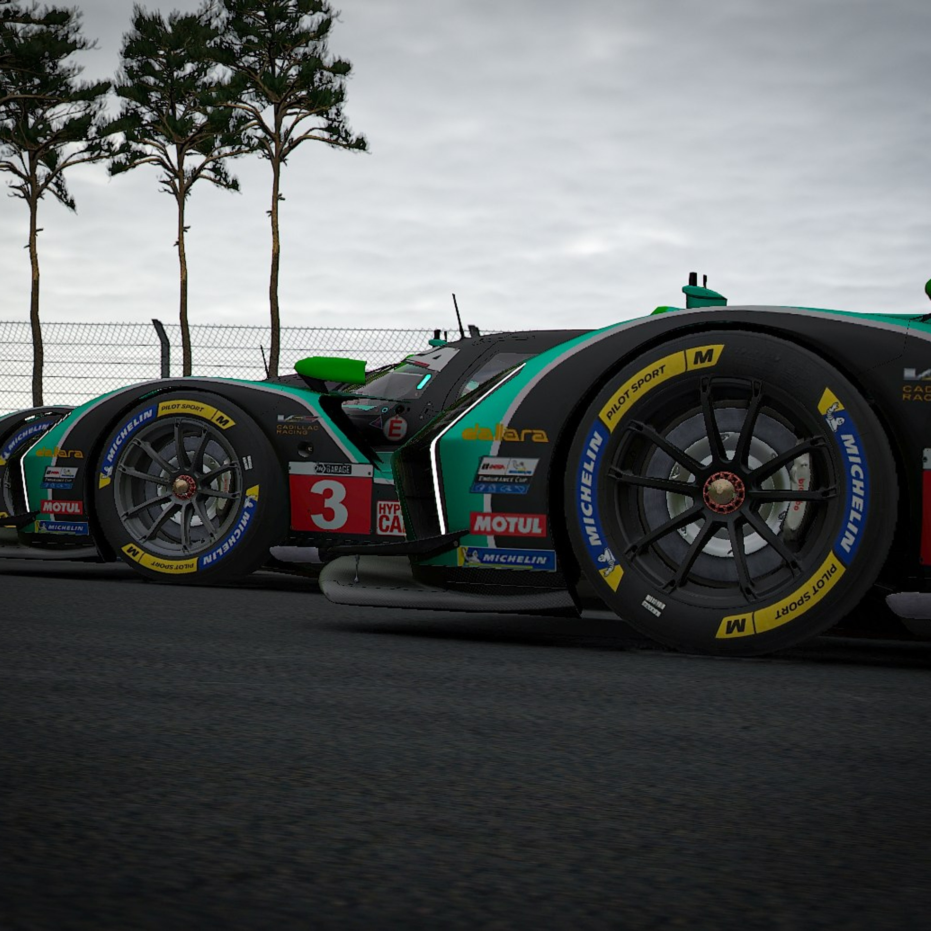 Отчеты. Репортажный фотограф Сыбер Мартти