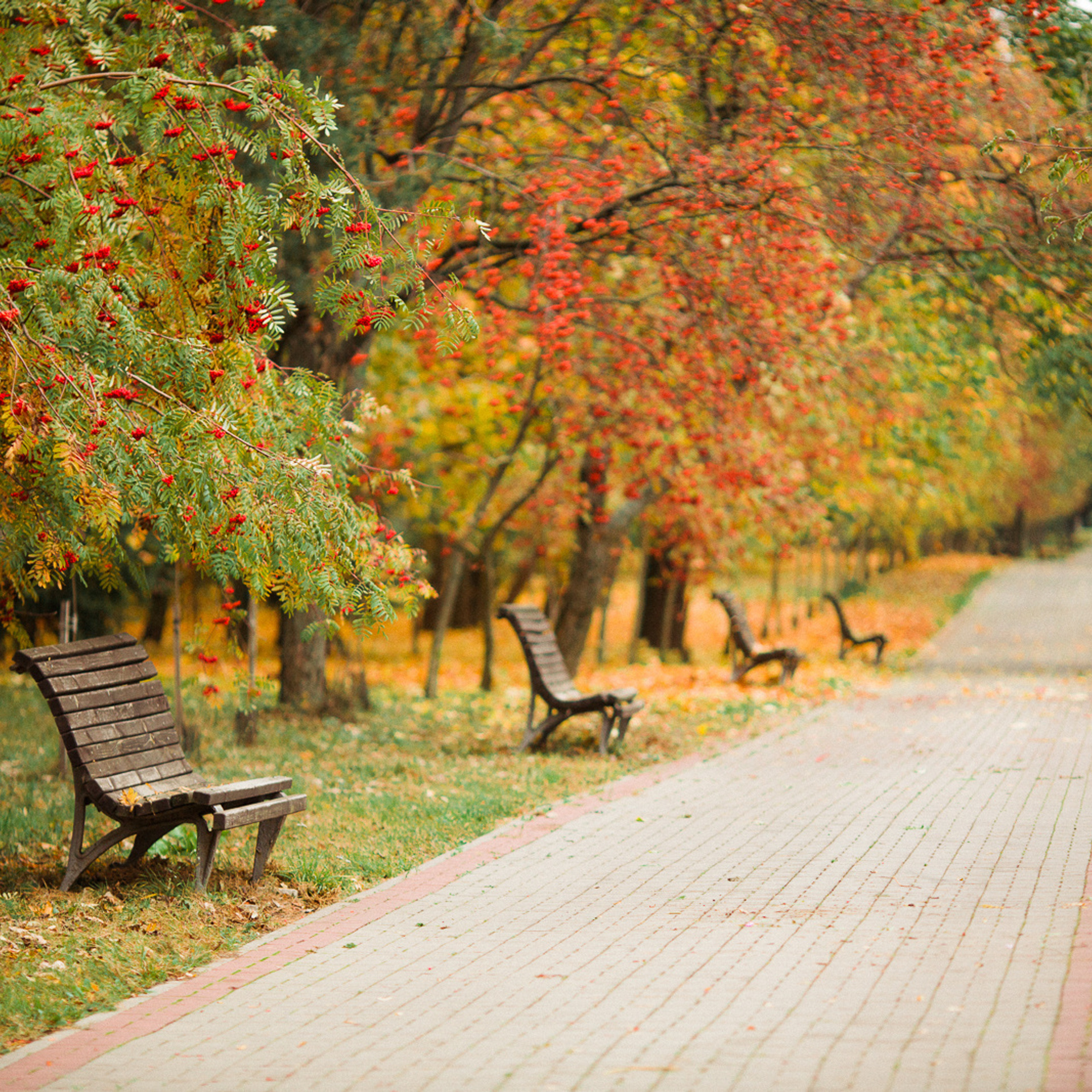 Осень в Ботаническом саду