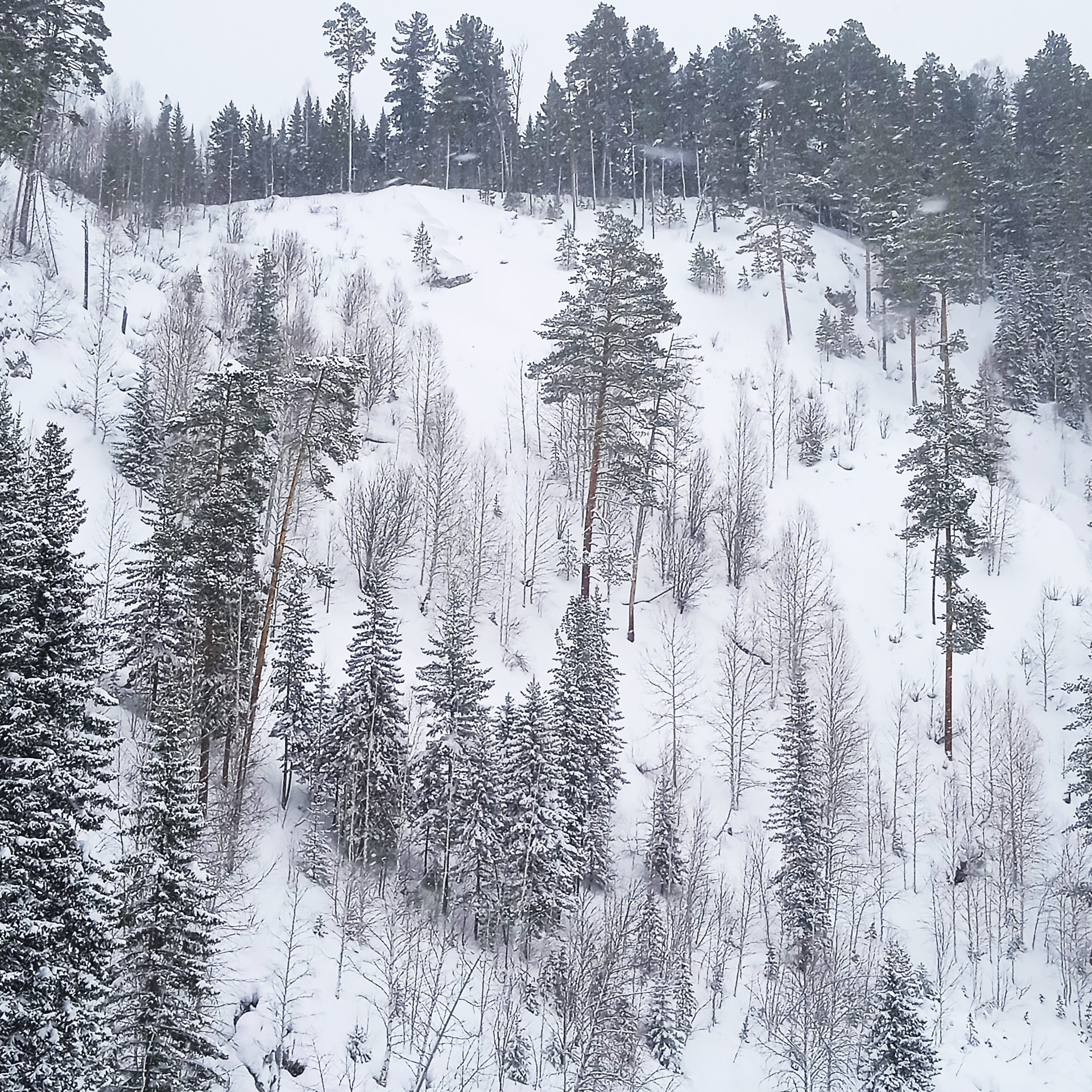 ТВОРЧЕСТВО. Творческая студия АЛНИфото