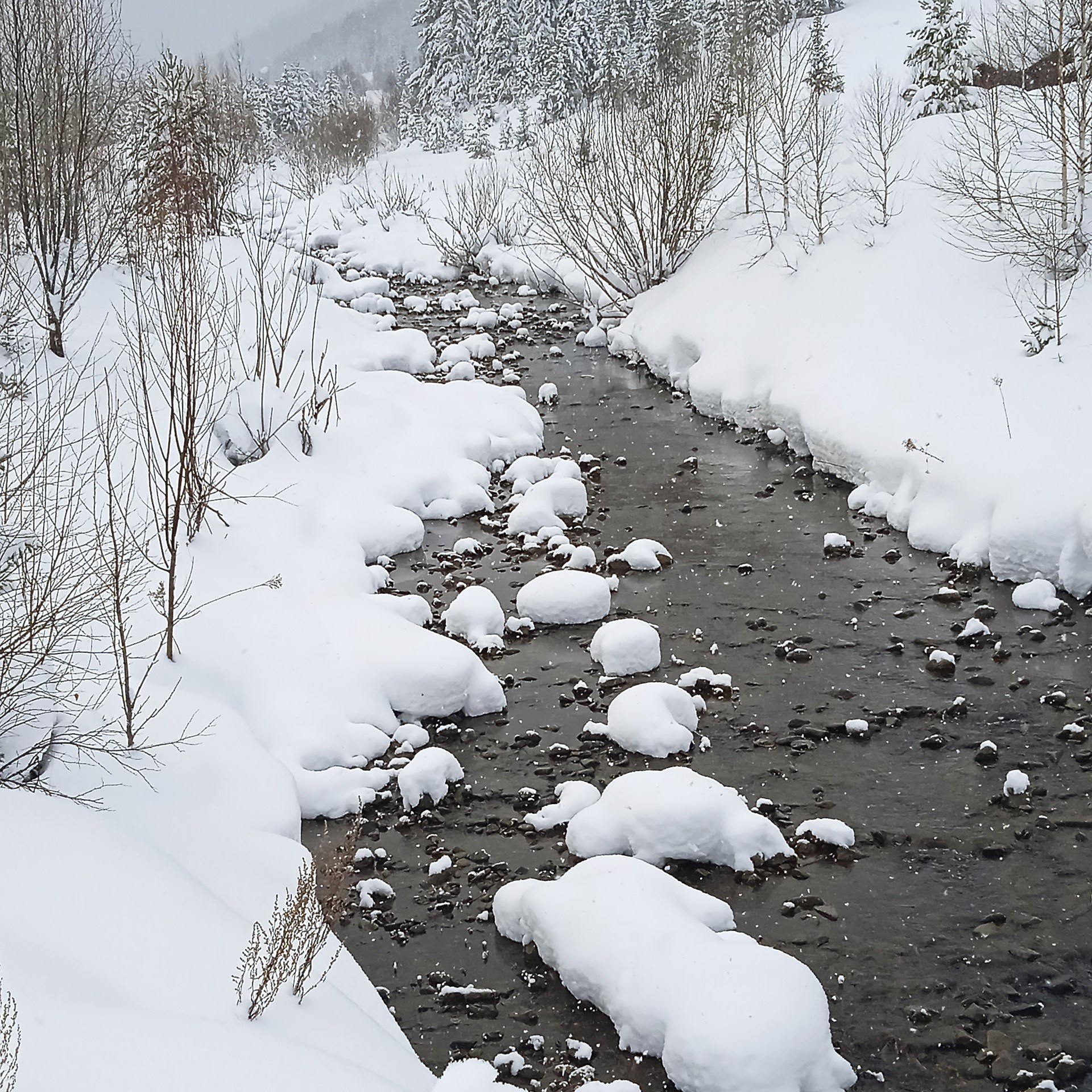 ТВОРЧЕСТВО. Творческая студия АЛНИфото