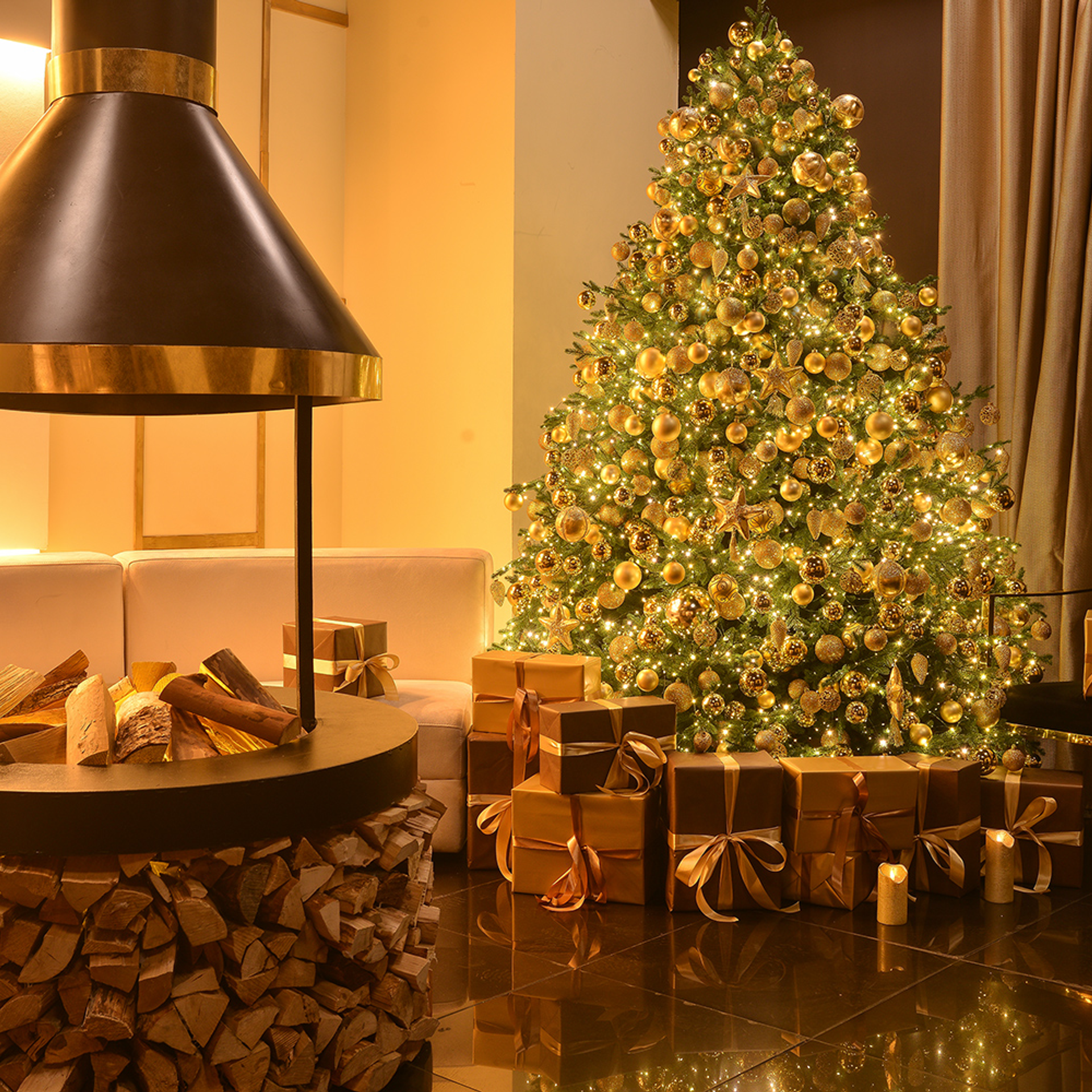 АНОНСЫ НОВЫЙ ГОД. ФОТОГРАФ ОКСАНА БРЭДШОУ