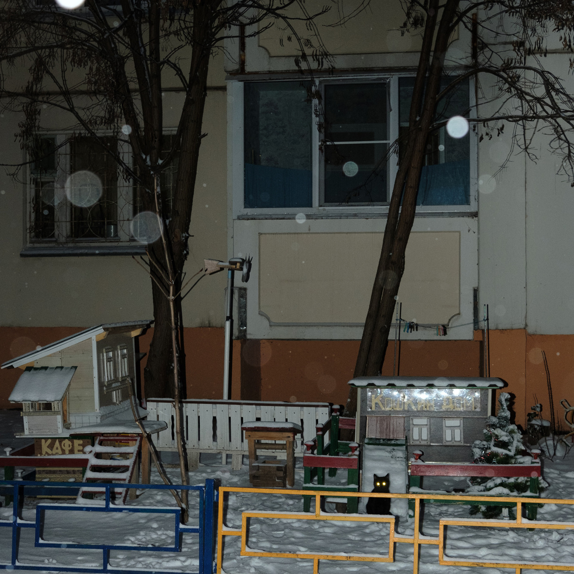 Плотникова Татьяна. «ФотоСинтез»