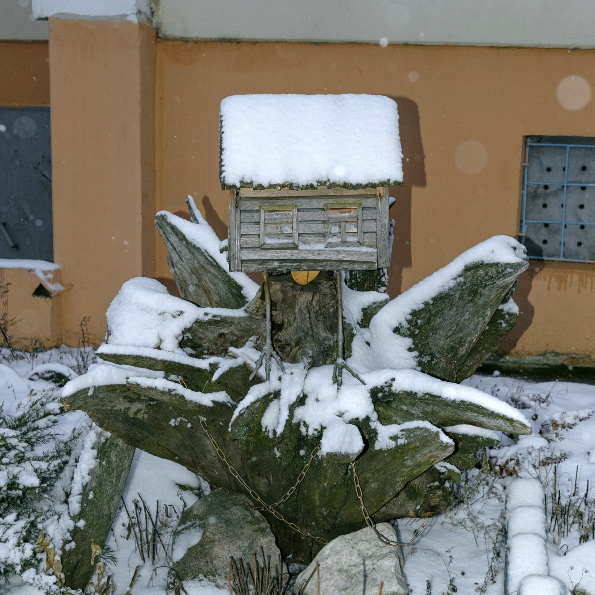 Плотникова Татьяна. «ФотоСинтез»