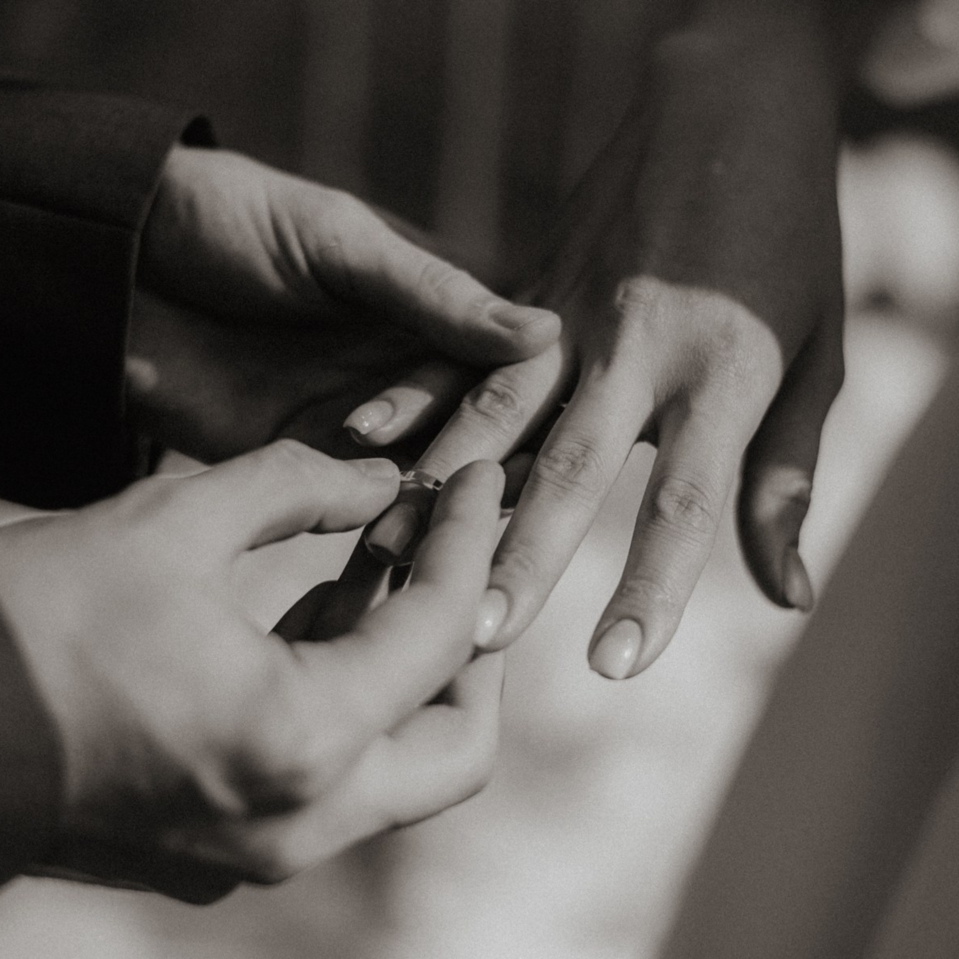 Фотограф Алексин, Тула