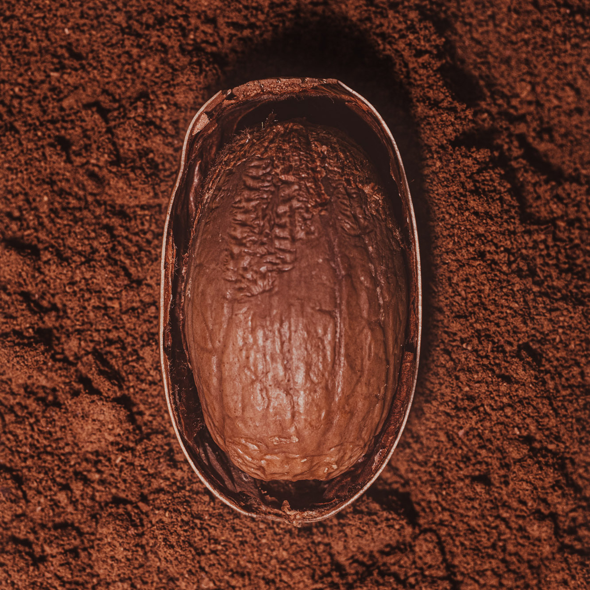 Кофе из Желудей. Творческая съемка