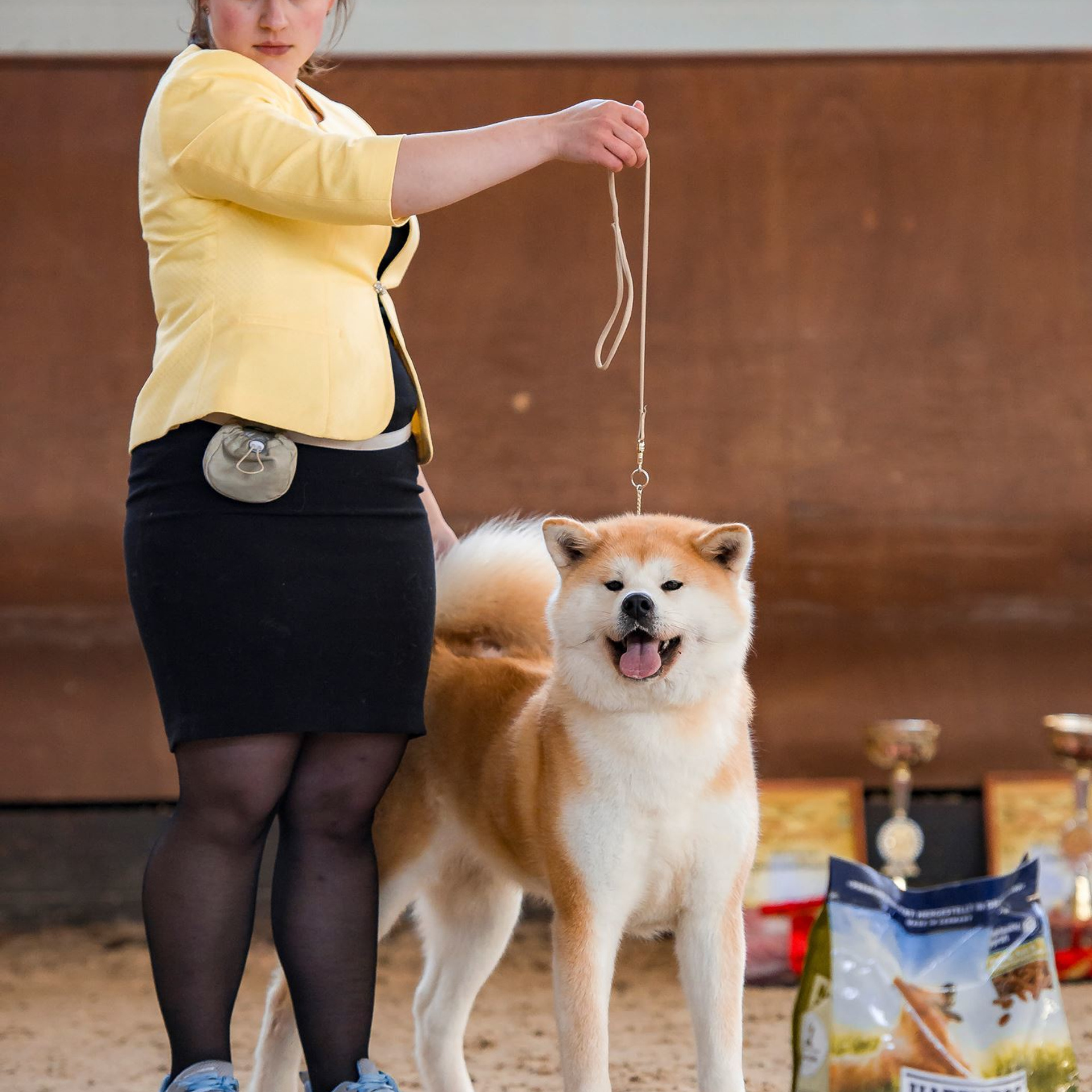 Dog show 2017. SHIOMARU Питомник сиба и акита-ину