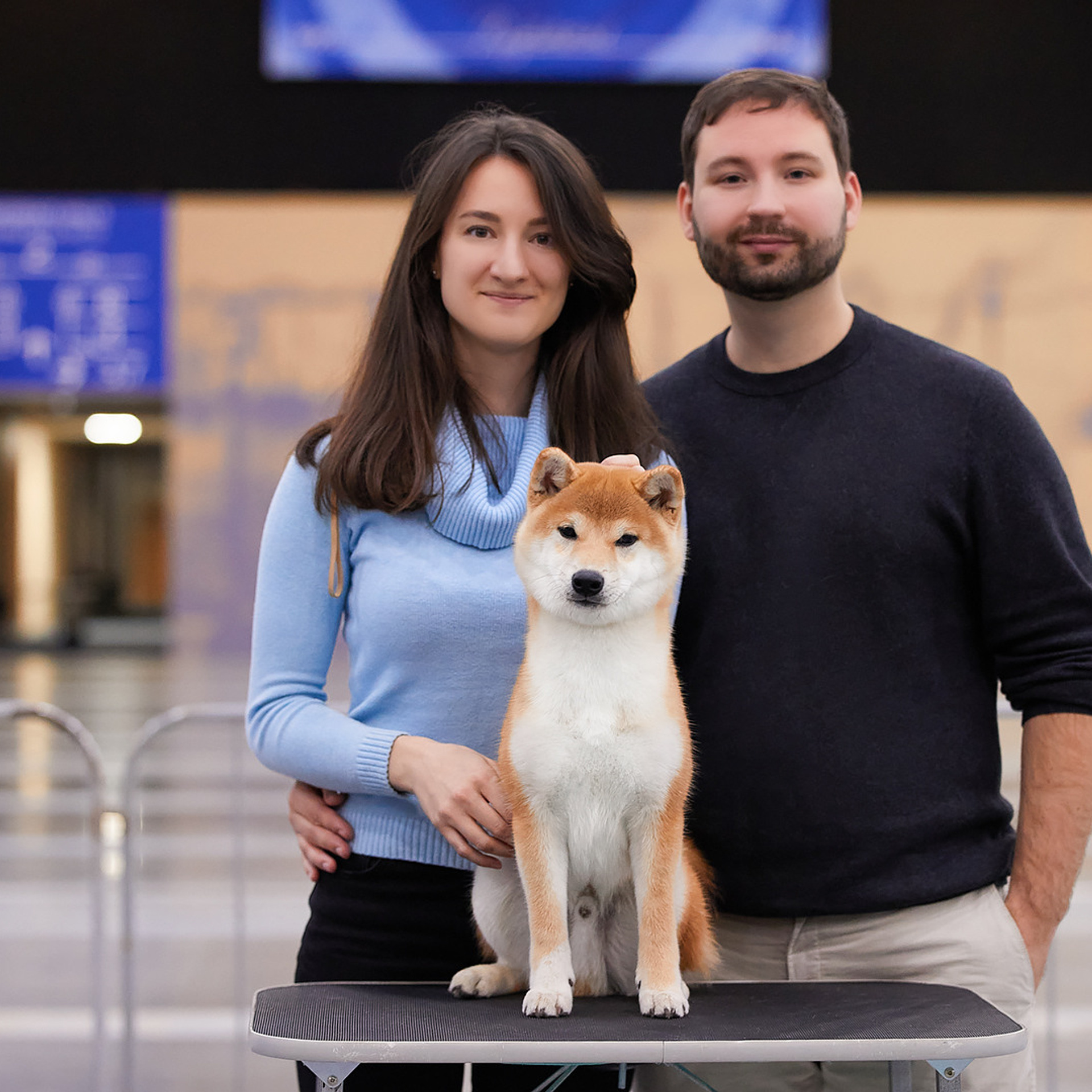 2020. SHIOMARU Shiba and Akita Inu Kennel