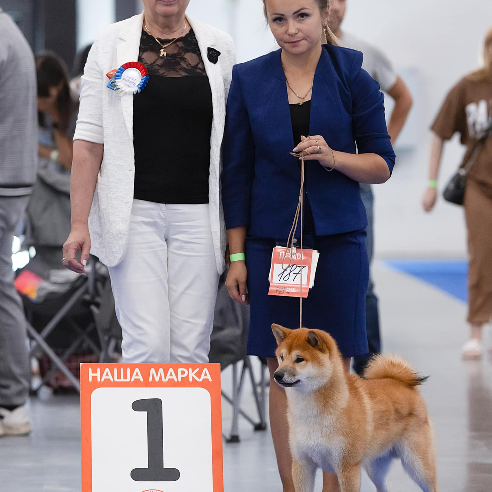 2022. SHIOMARU Питомник сиба и акита-ину