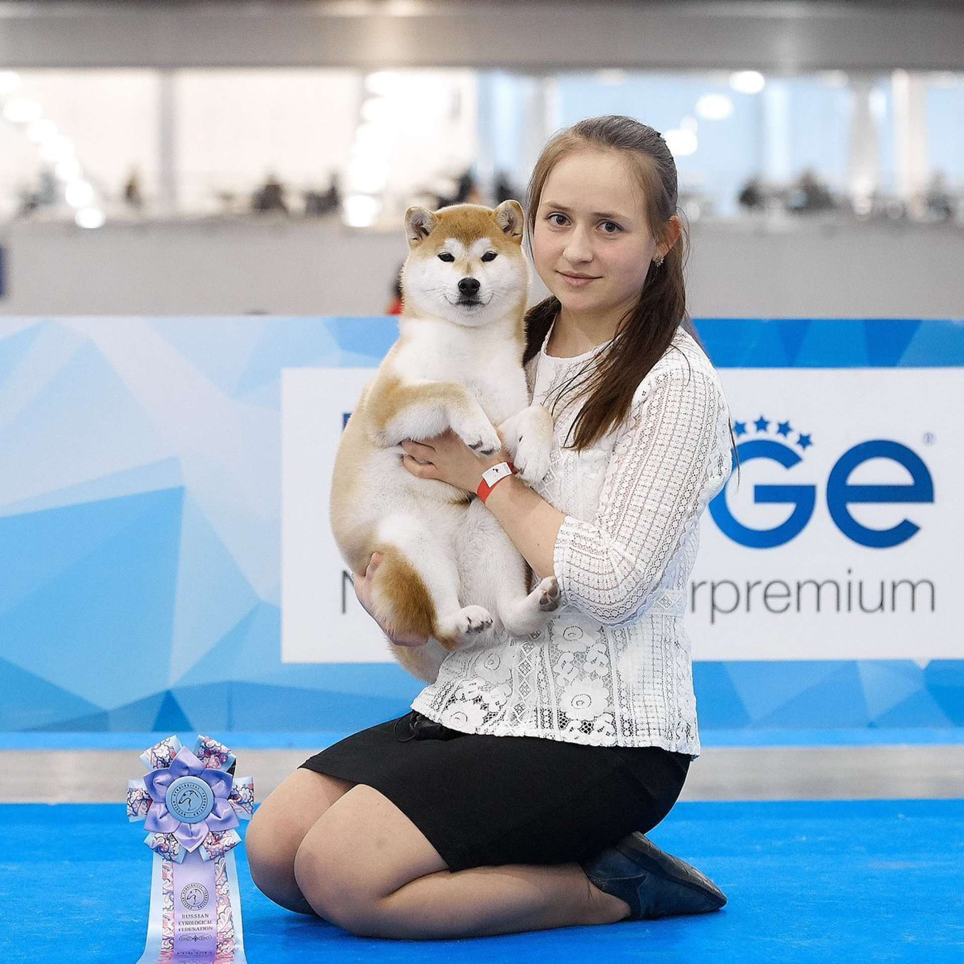 LYURUA DYURING HONMEI CHOKO. SHIOMARU Питомник сиба и акита-ину