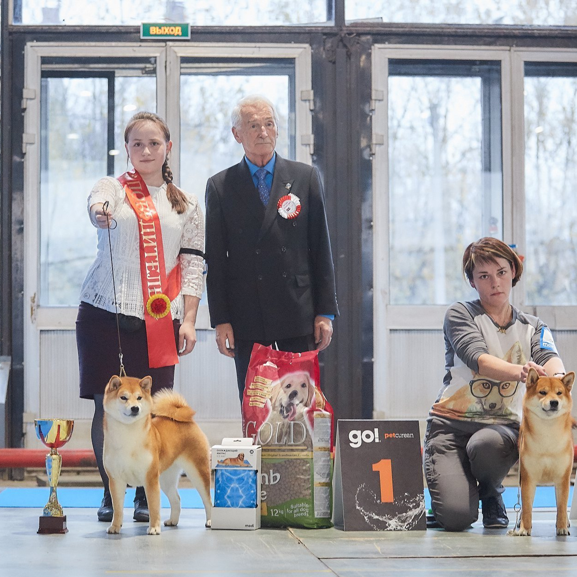 SHIOMARU BRENDI. SHIOMARU Shiba and Akita Inu Kennel