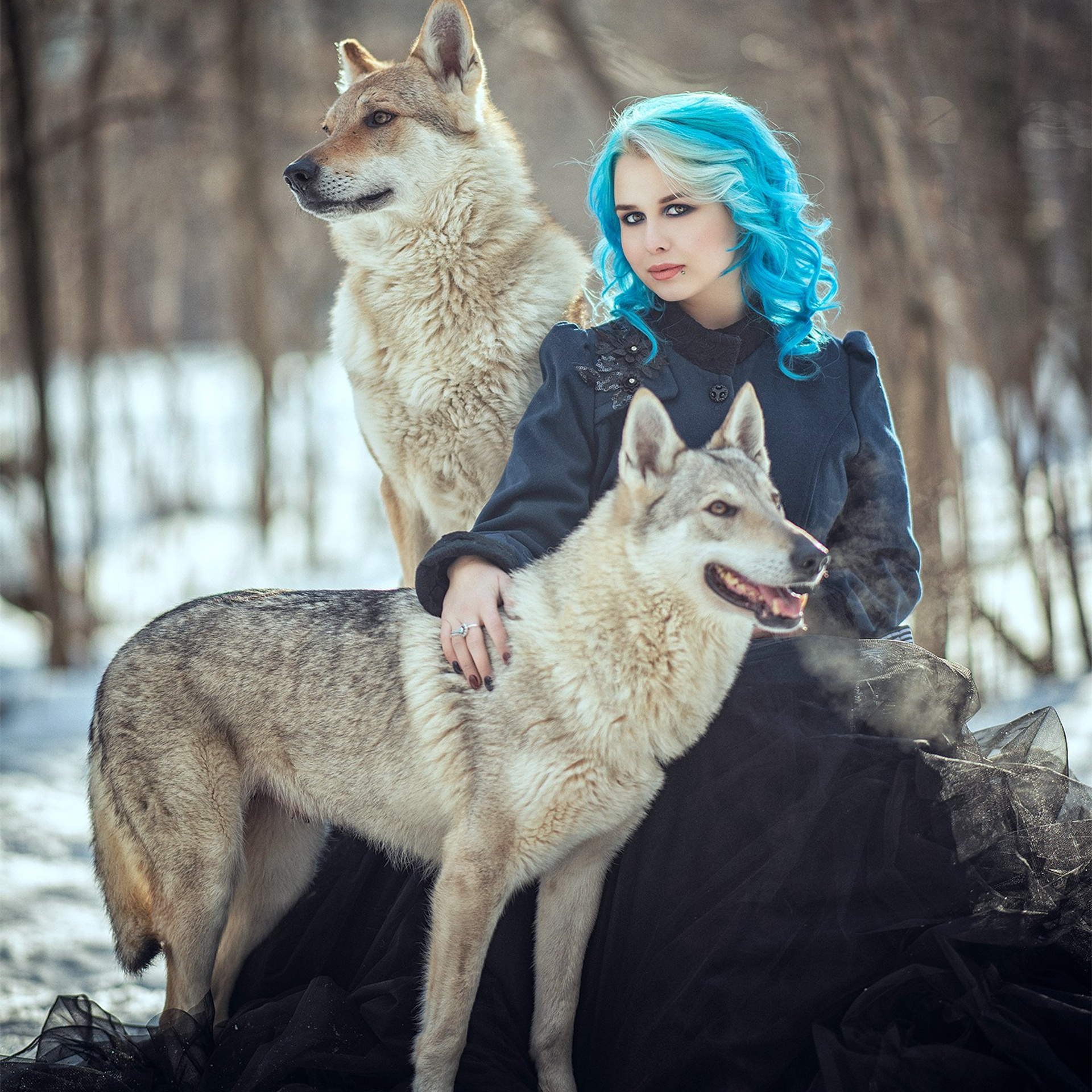 фотосессия с волком, волк для фотосессии, волчак, юлиана бевз, сказочная фотосессия, сказочная фотография, волшебная фотосессия, фотосессия с волком в москве, фотосессия в москве, оригинальная фотосессия москва, девушка с волком, девушка и волк, фотосессия с волчками, фотосессия с волками, фотосессия с волком москва, девушка с волком, фотосессия в москве