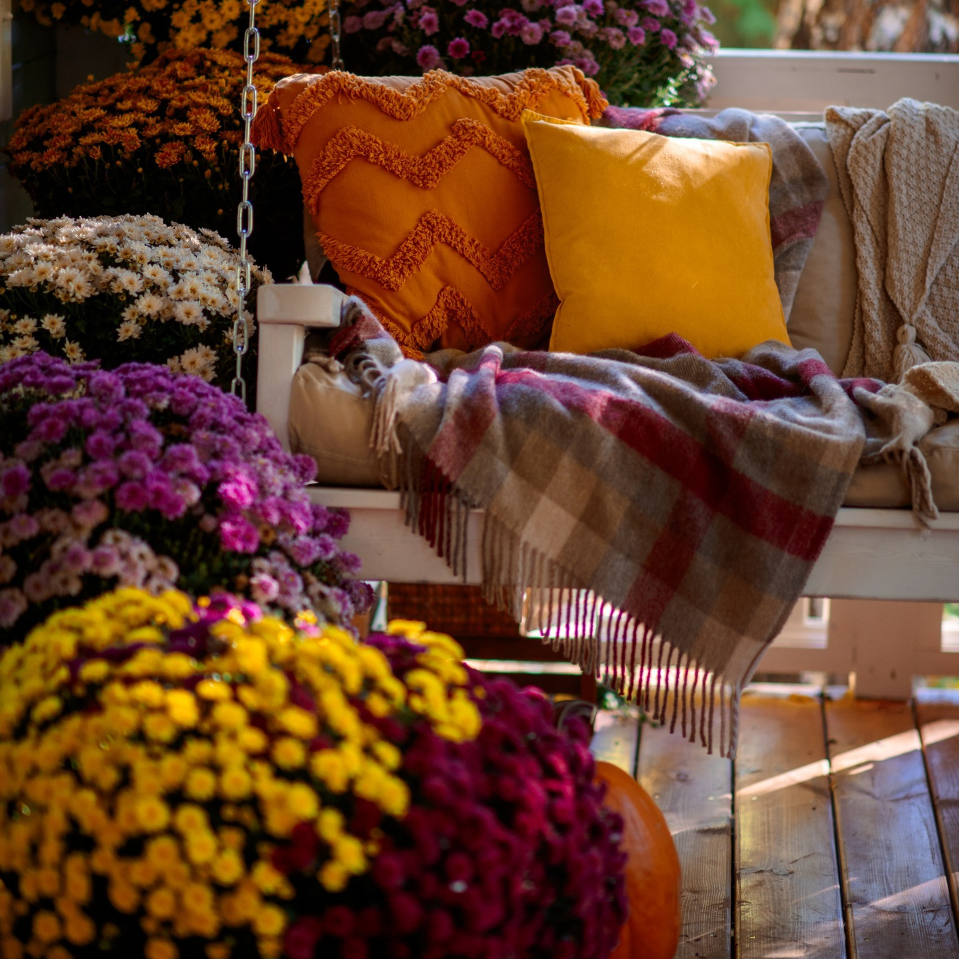 Фотодомик, семейная фотосессия, осенняя фотосессия, красивая фотостудия, фотостудия с цветами, фотосессия осенью